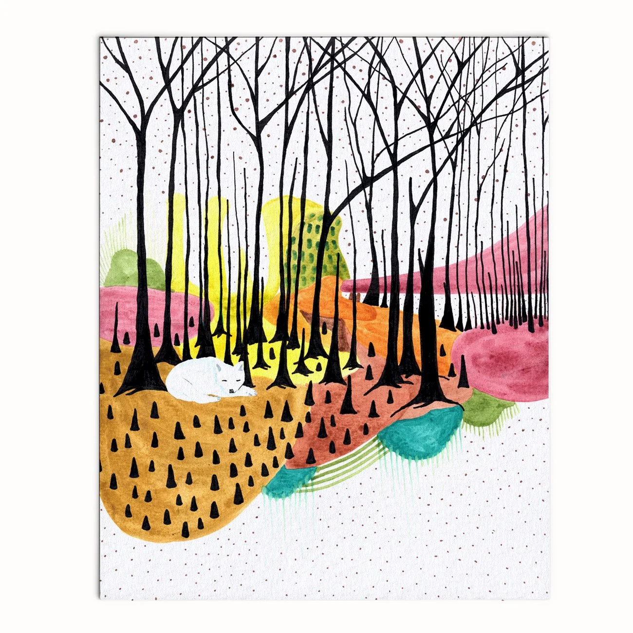 A Coyote's Dream - Archival Print