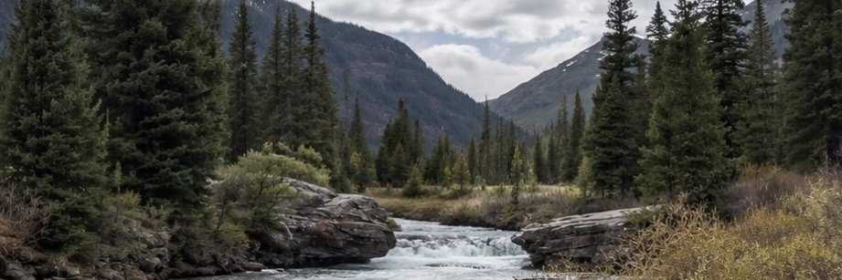 Mountain river flowing through an evergreen forest