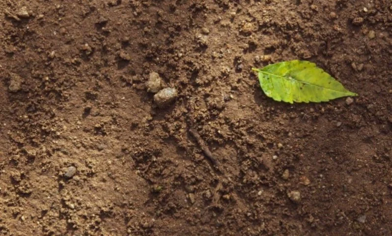 Red State Advances Human Fertilizer Proposal