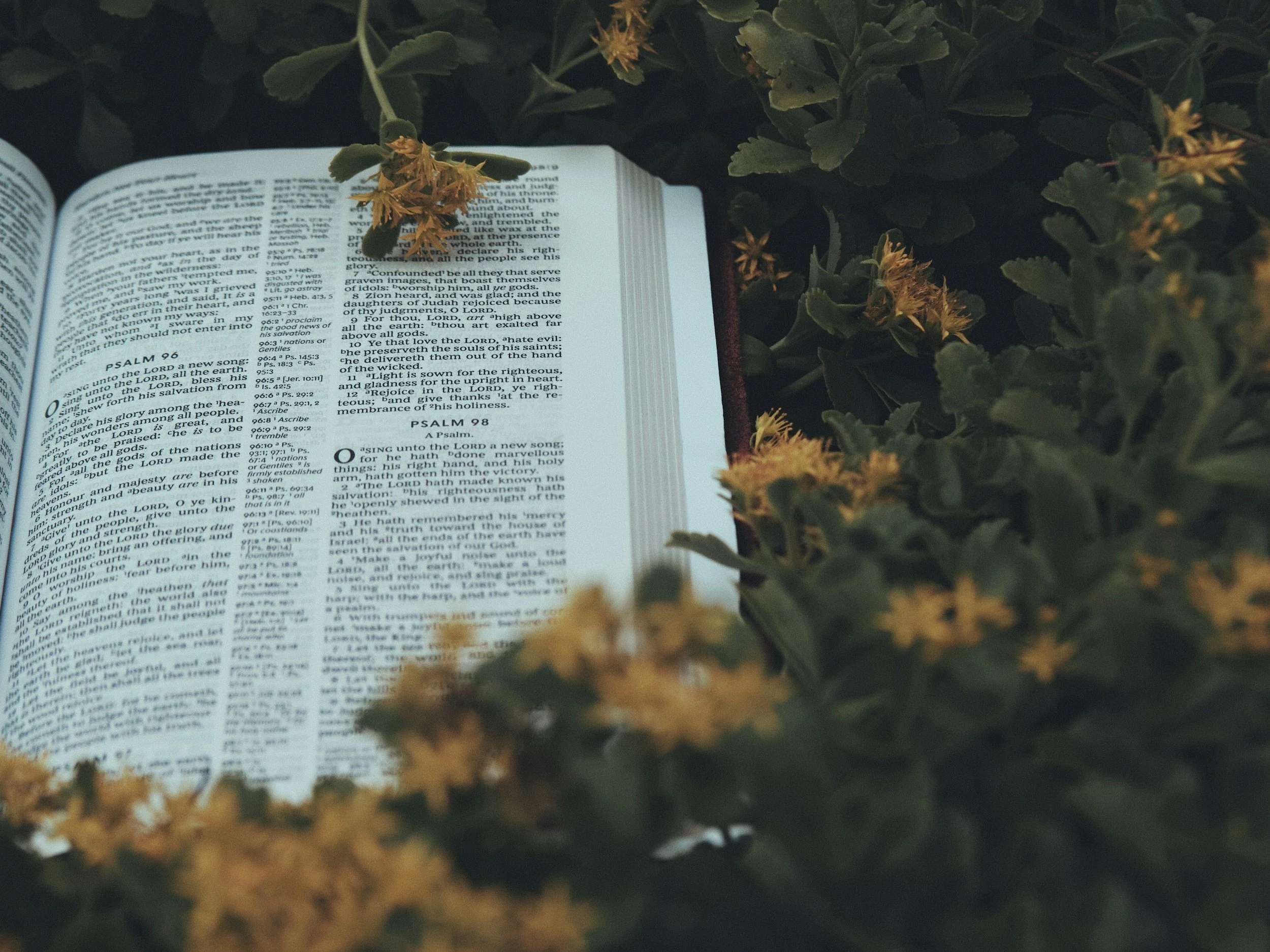 Renewing Your Mind with Scripture