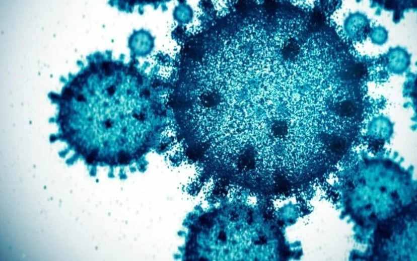 Dr. Birx: Simple Tests Could Have Stopped Hantavirus Panic Before It Started