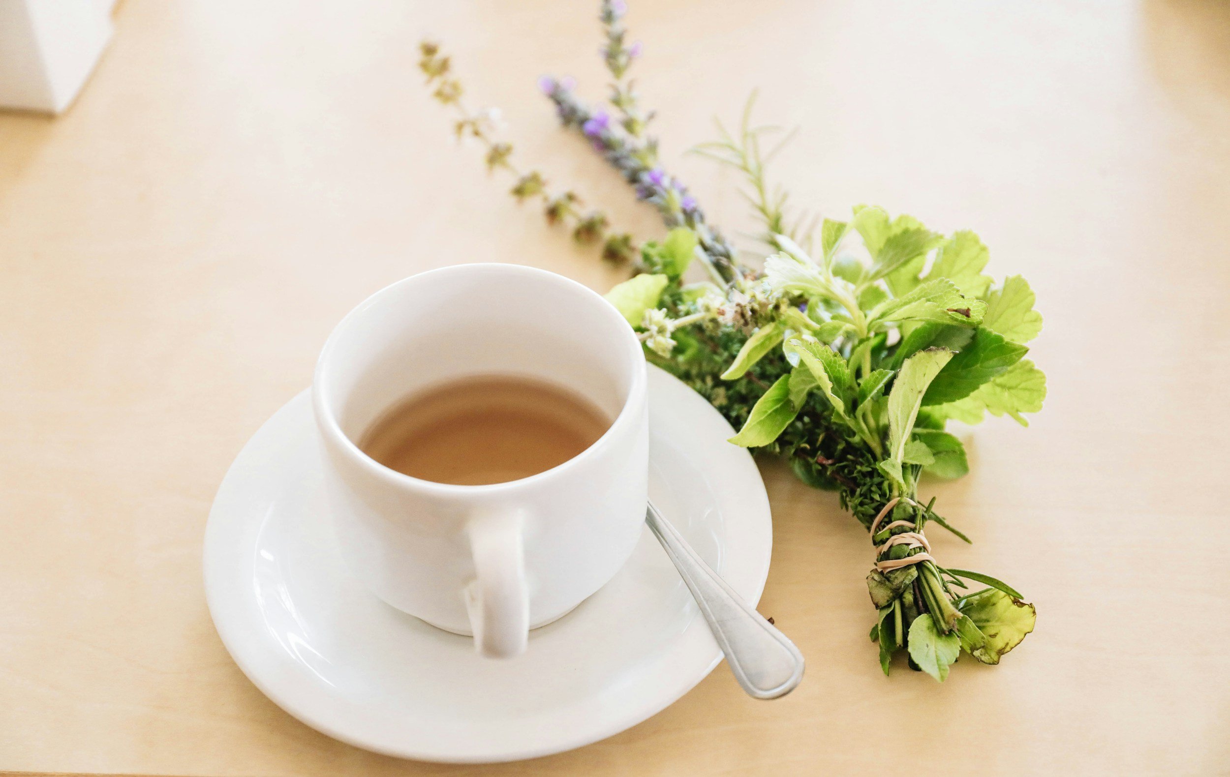 Herbs In the Bible: For Physical Healing and Spiritual Reflection