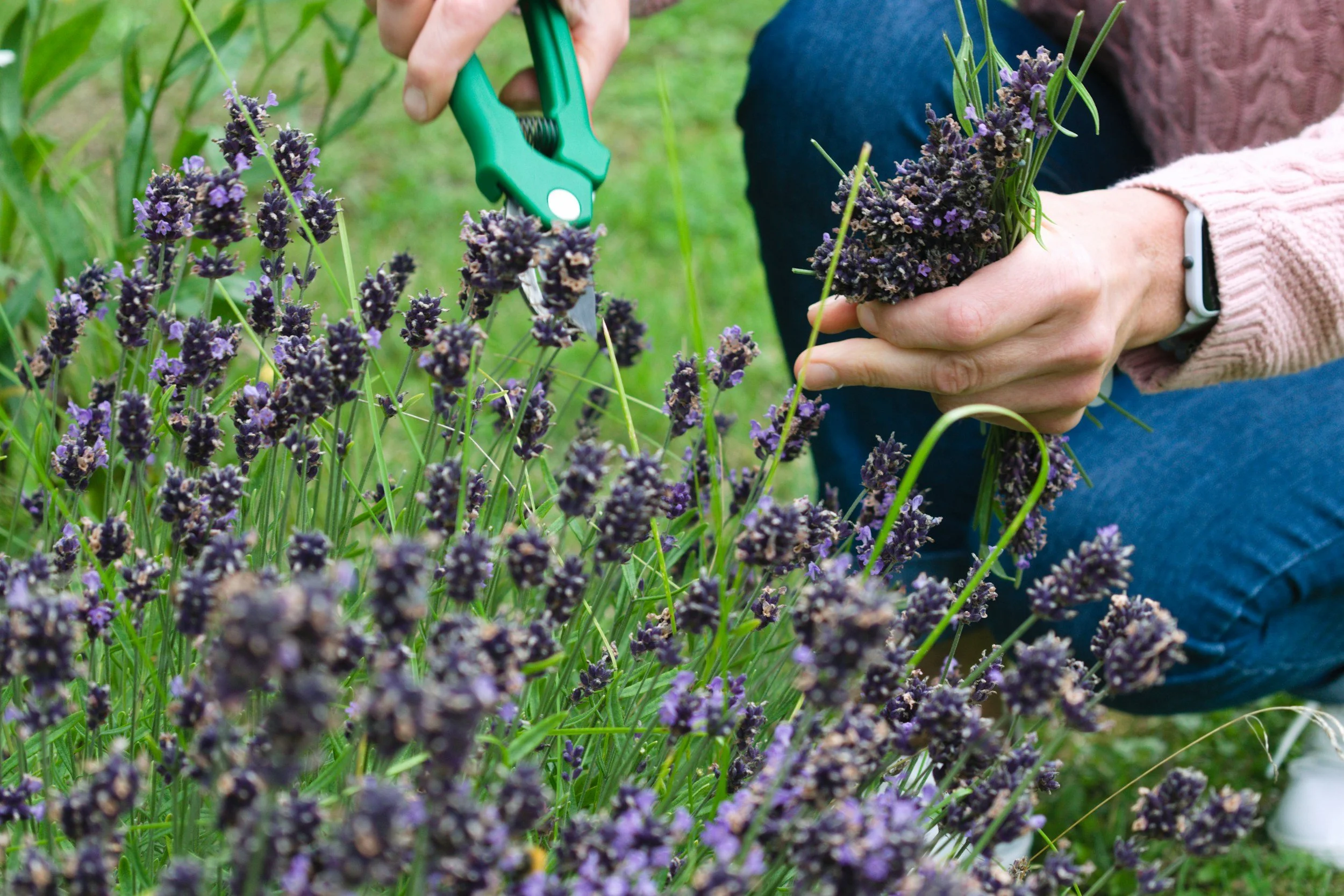 Seeing the Gospel Through the Garden