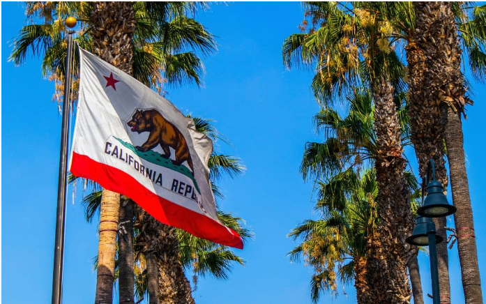 California’s Classroom Collapse Signals a Bigger Family Crisis