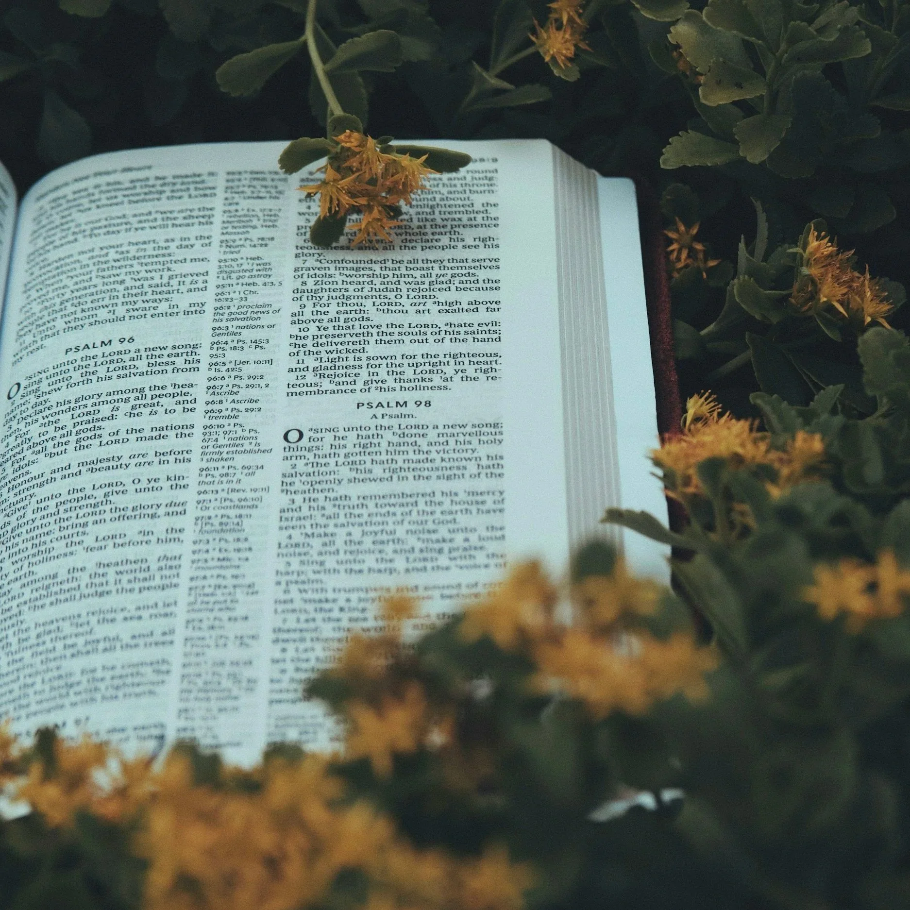 Renewing Your Mind with Scripture