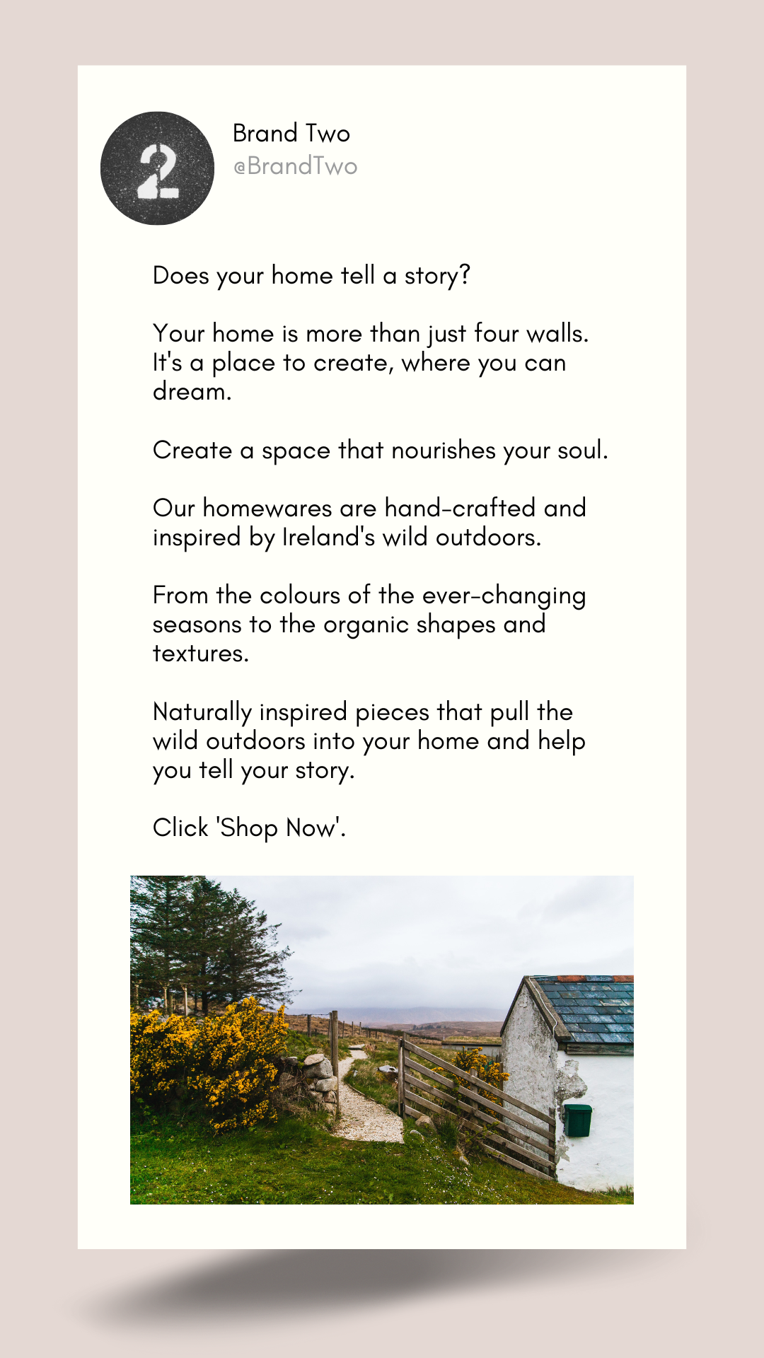 mock ups of real client social media ad copy