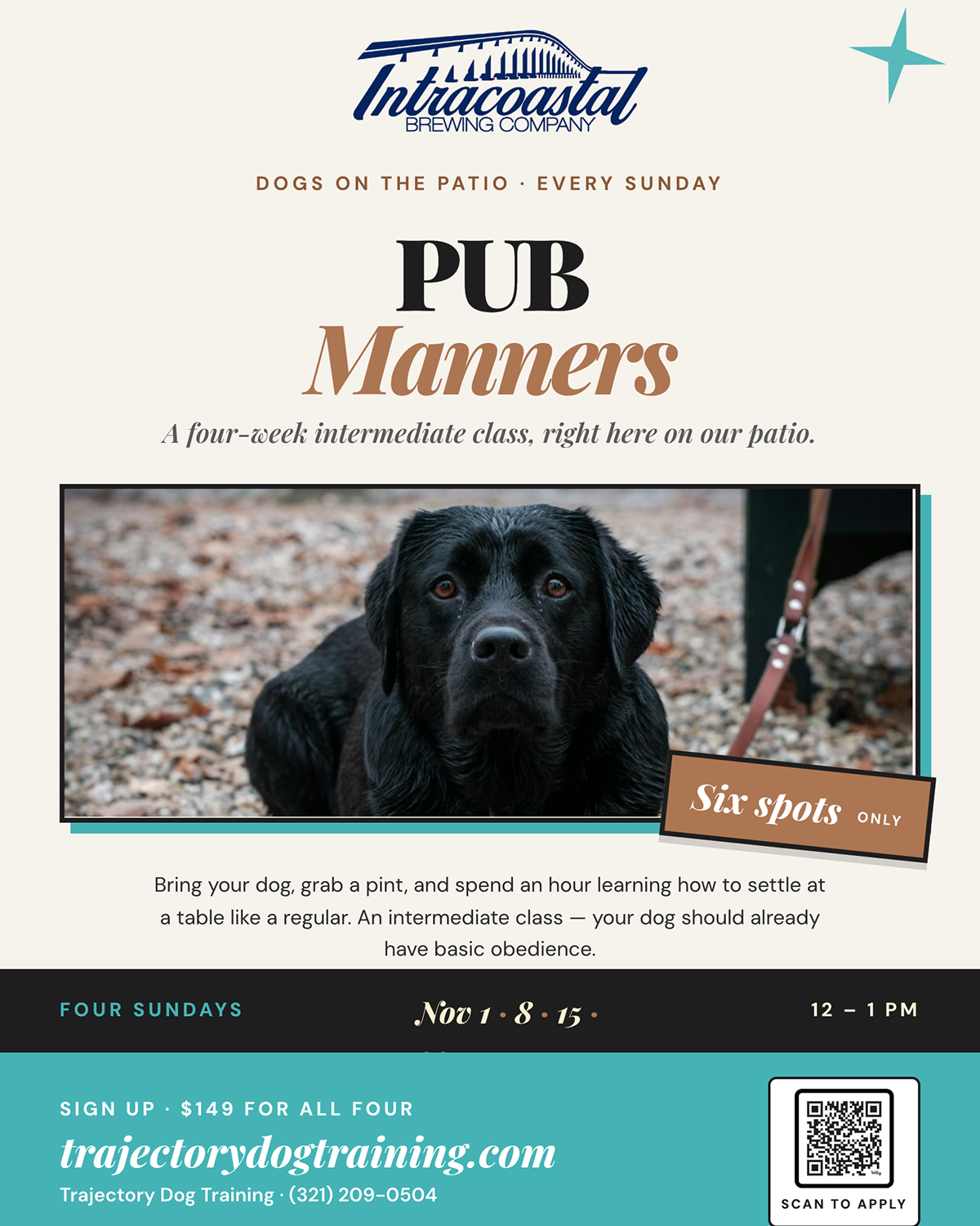 pub manners dog training class fall edition six spots only for november