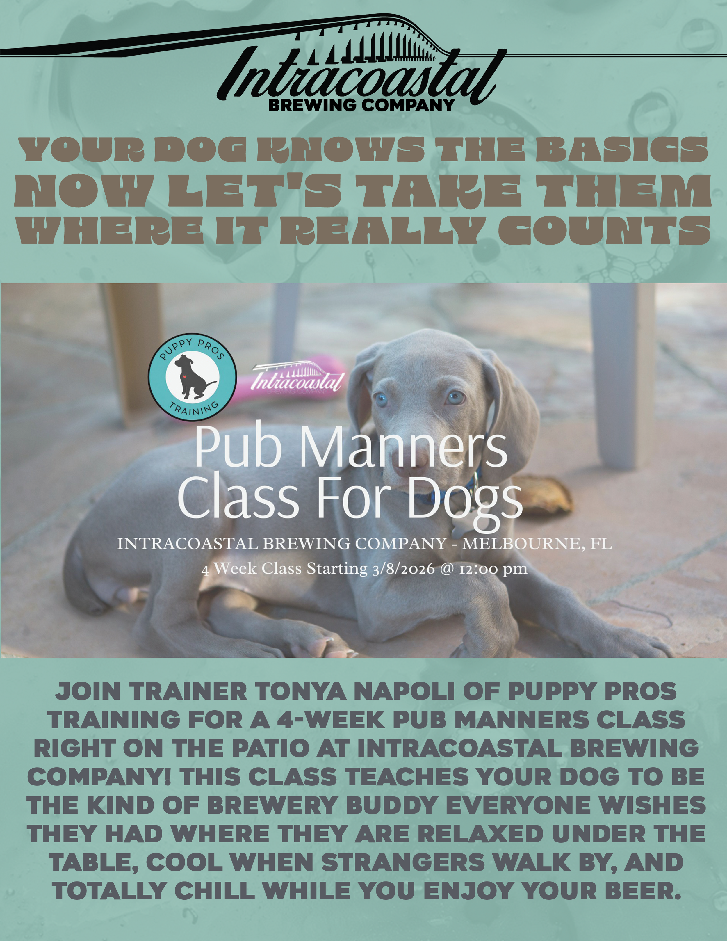Pub Manners Class For Dogs
