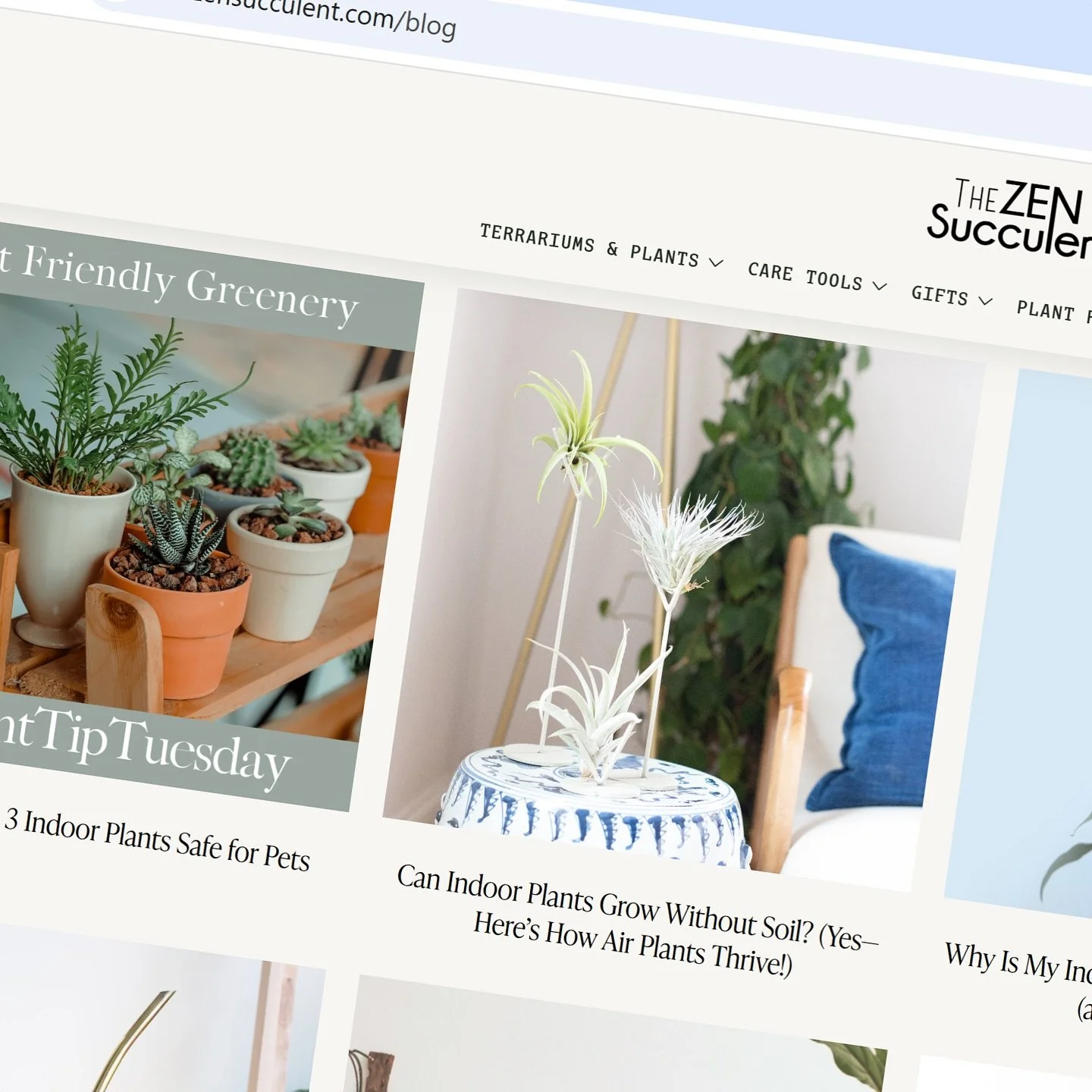 It&rsquo;s called From the Potting Shed.
A little corner of the internet we&rsquo;ve been quietly tending since 2020&mdash;week by week, post by post.

It started as a way to stay grounded when the world felt anything but. A creative ritual between t