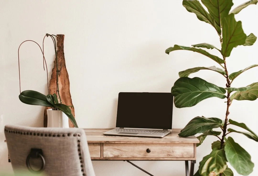 A minimalist home office setup with a wooden desk, an open laptop, a tall fiddle leaf fig plant, and a white orchid in a ceramic pot.