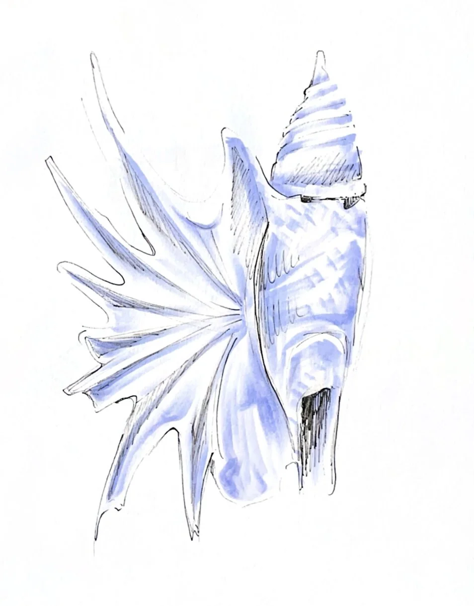 Seashell Fragrance Holder @ The Met Museum (Live drawing)