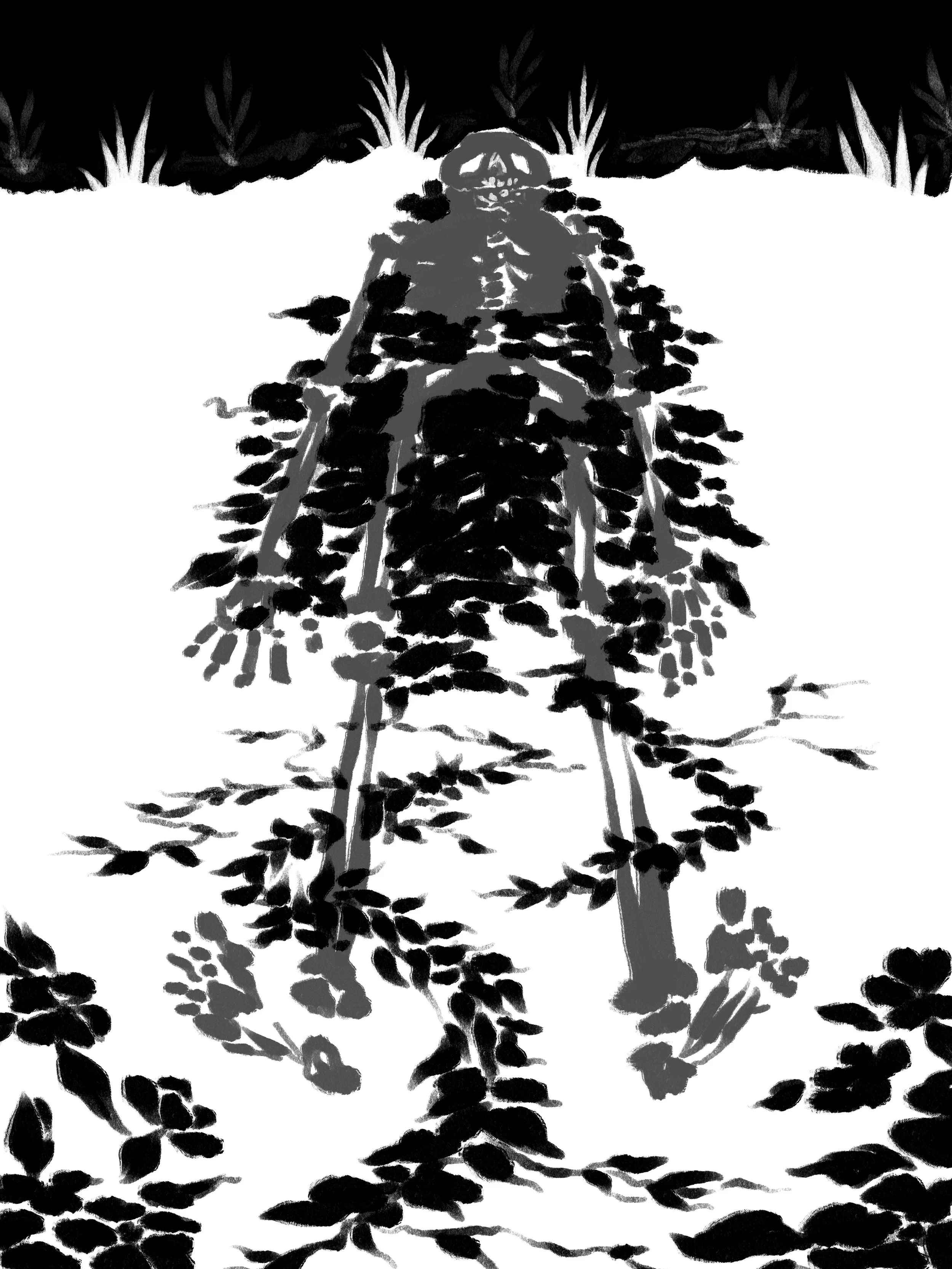 Digital Illustration