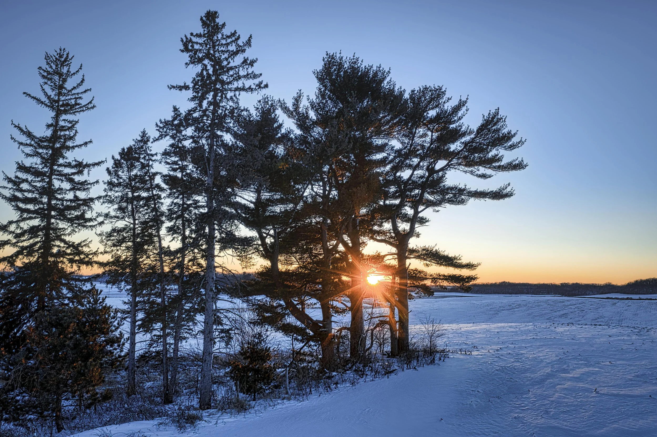 8 Brain Hacks to Beat the Winter Blahs
