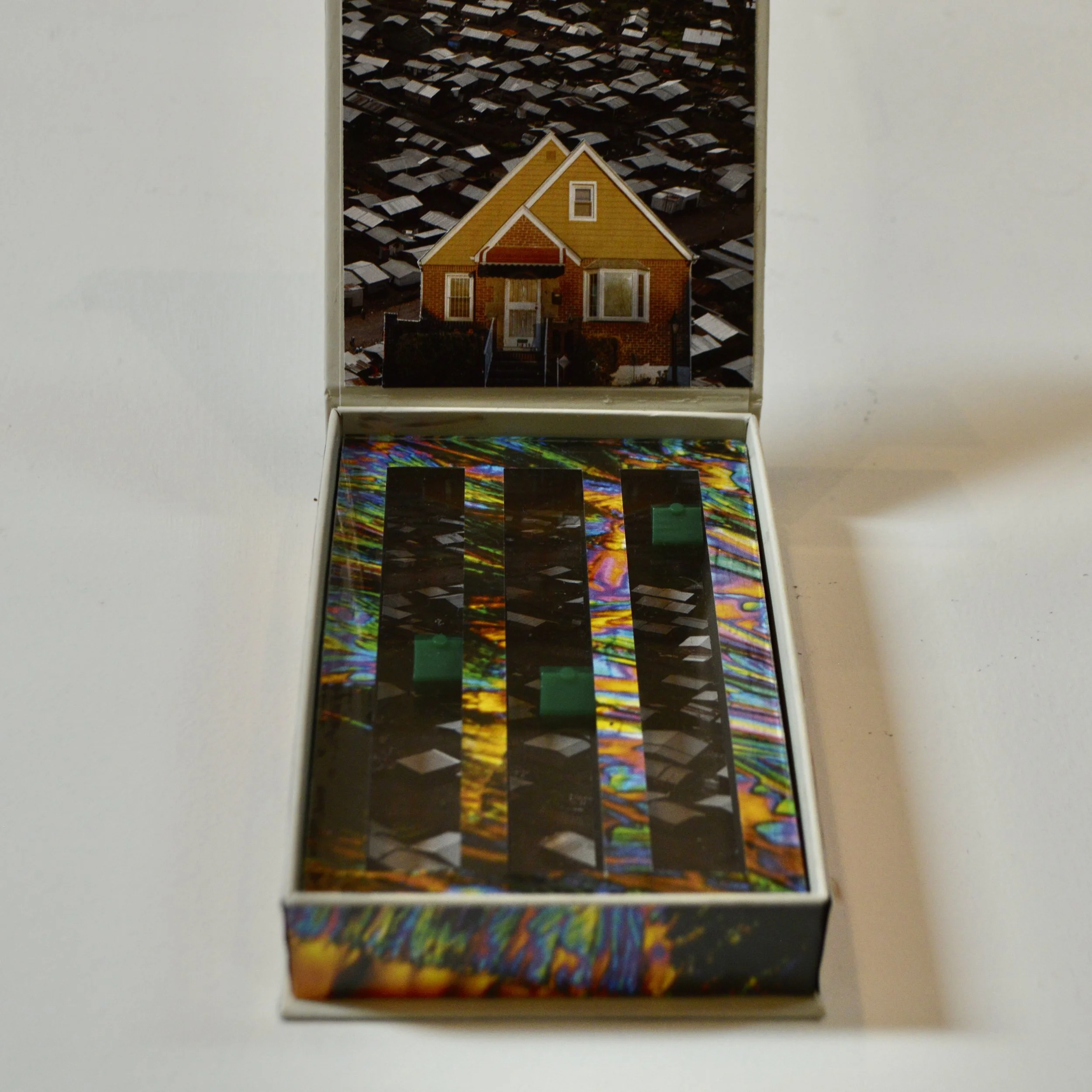 This is Not My Beautiful House (inside).jpeg