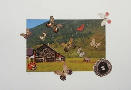 Patterns (small).jpg