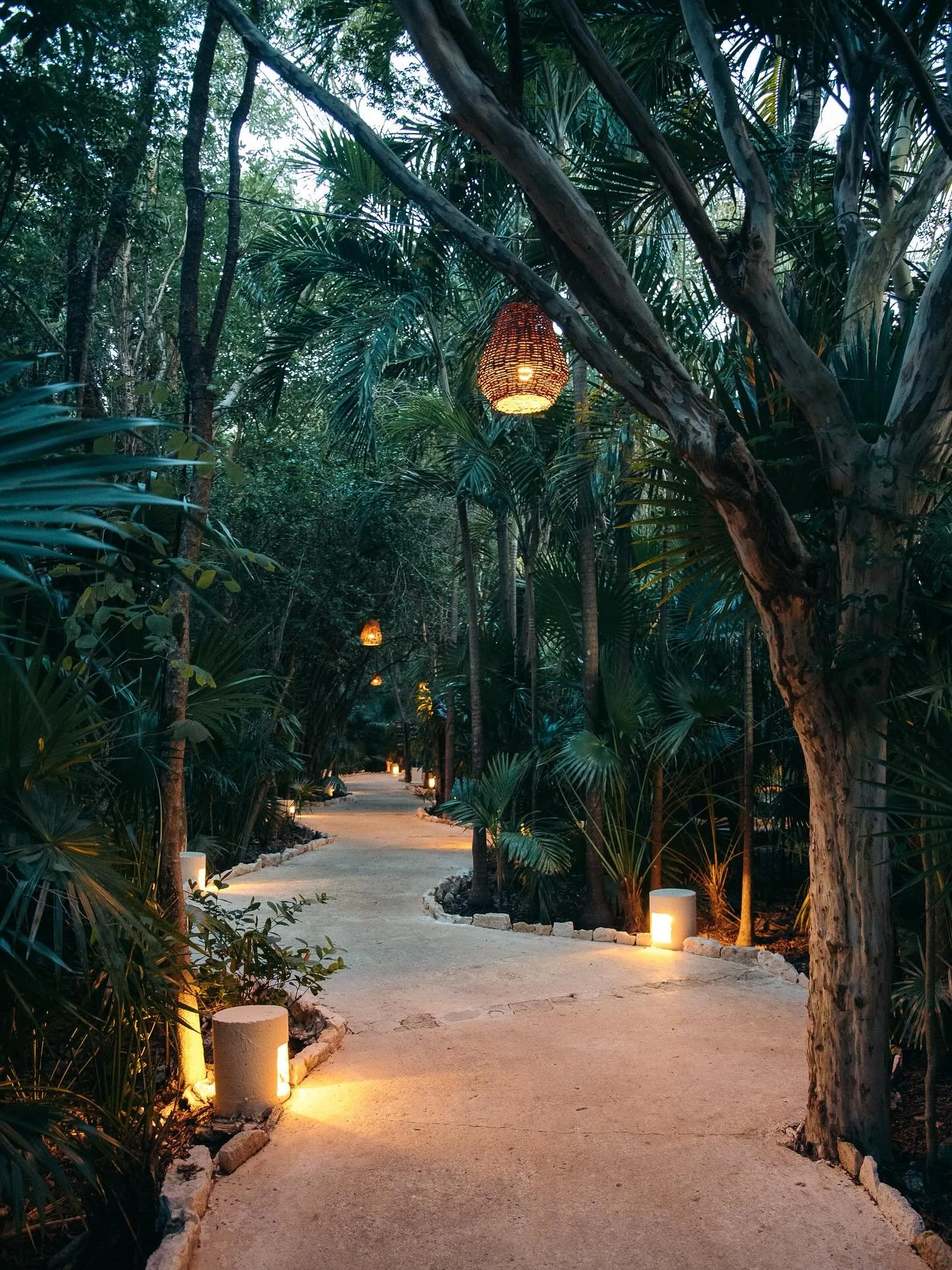 A real life Jungle Book weekend 🌴🌺

#voyaged #outsideproject #takemoreadventures #hellofrom #videographer #earthfocus #earthpix #exploretocreate  #letsgosomewhere #adventurephotographer #theoutbound #visualambassadors #wondermore #wekeepmoments #vi