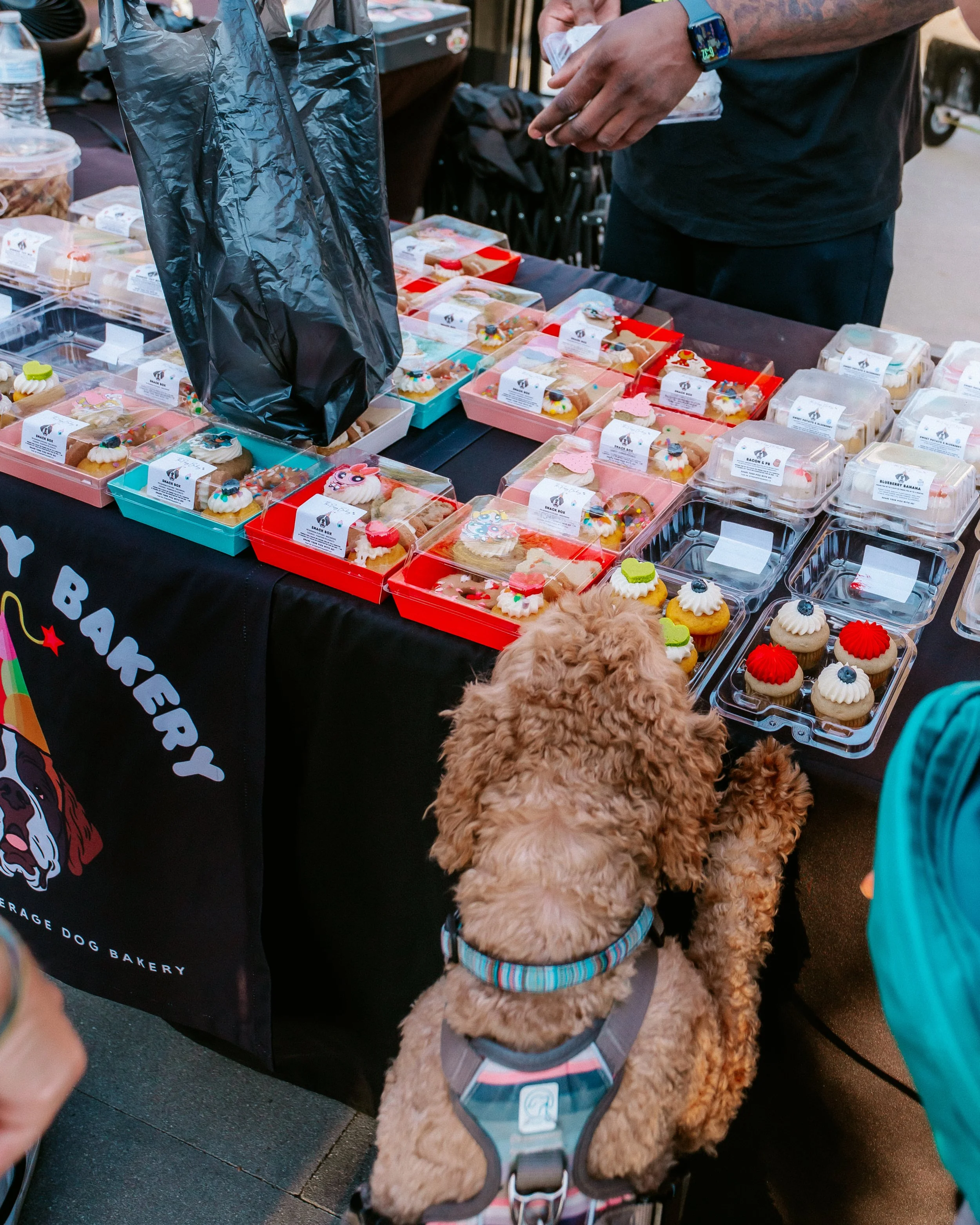 pup parade Market