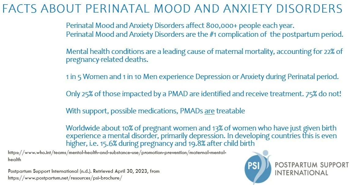 Mental Health and Lactation 