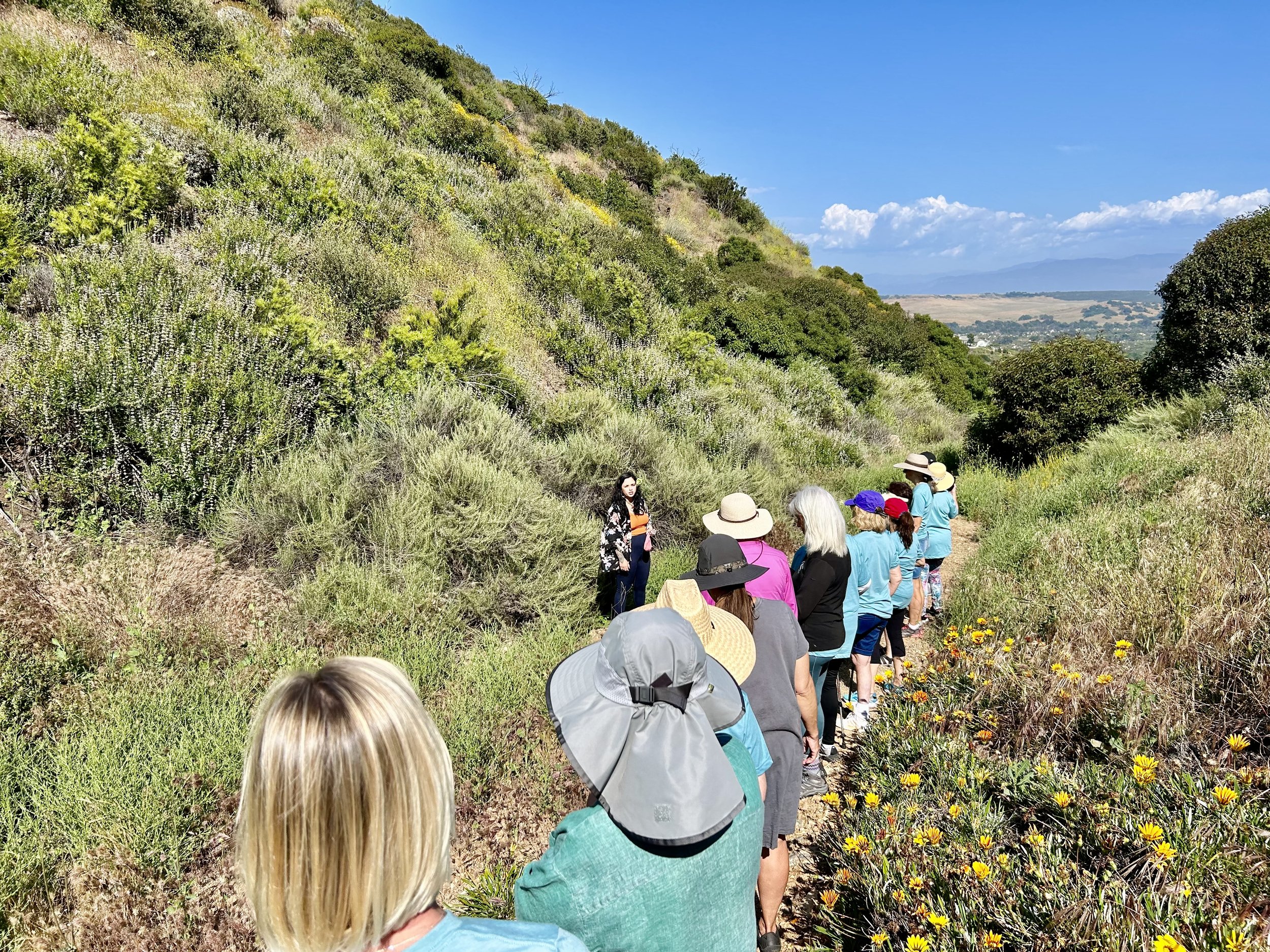 Outdoors_ Group Hike.jpg