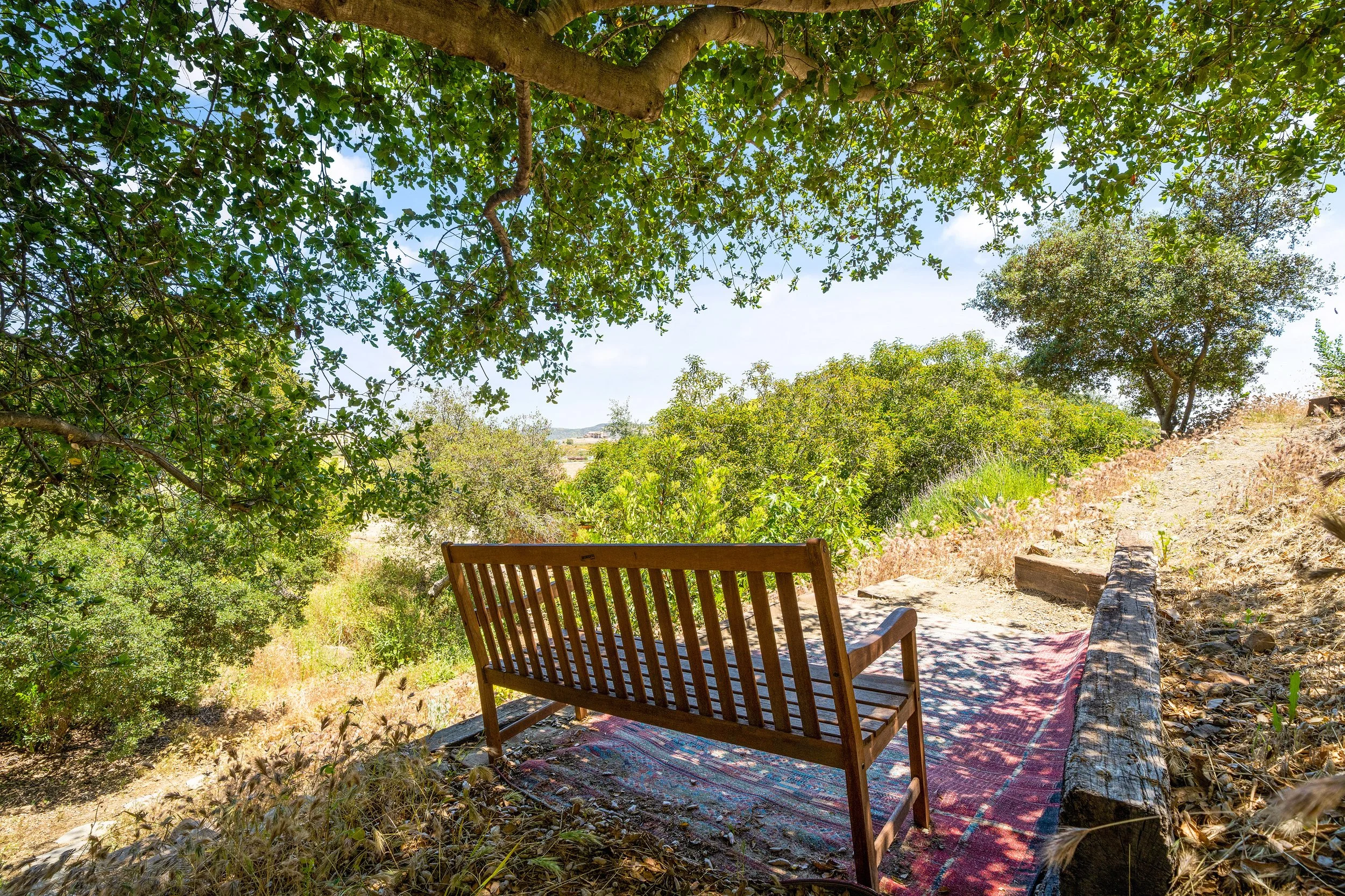 Outdoors_ Reflection Bench.jpg