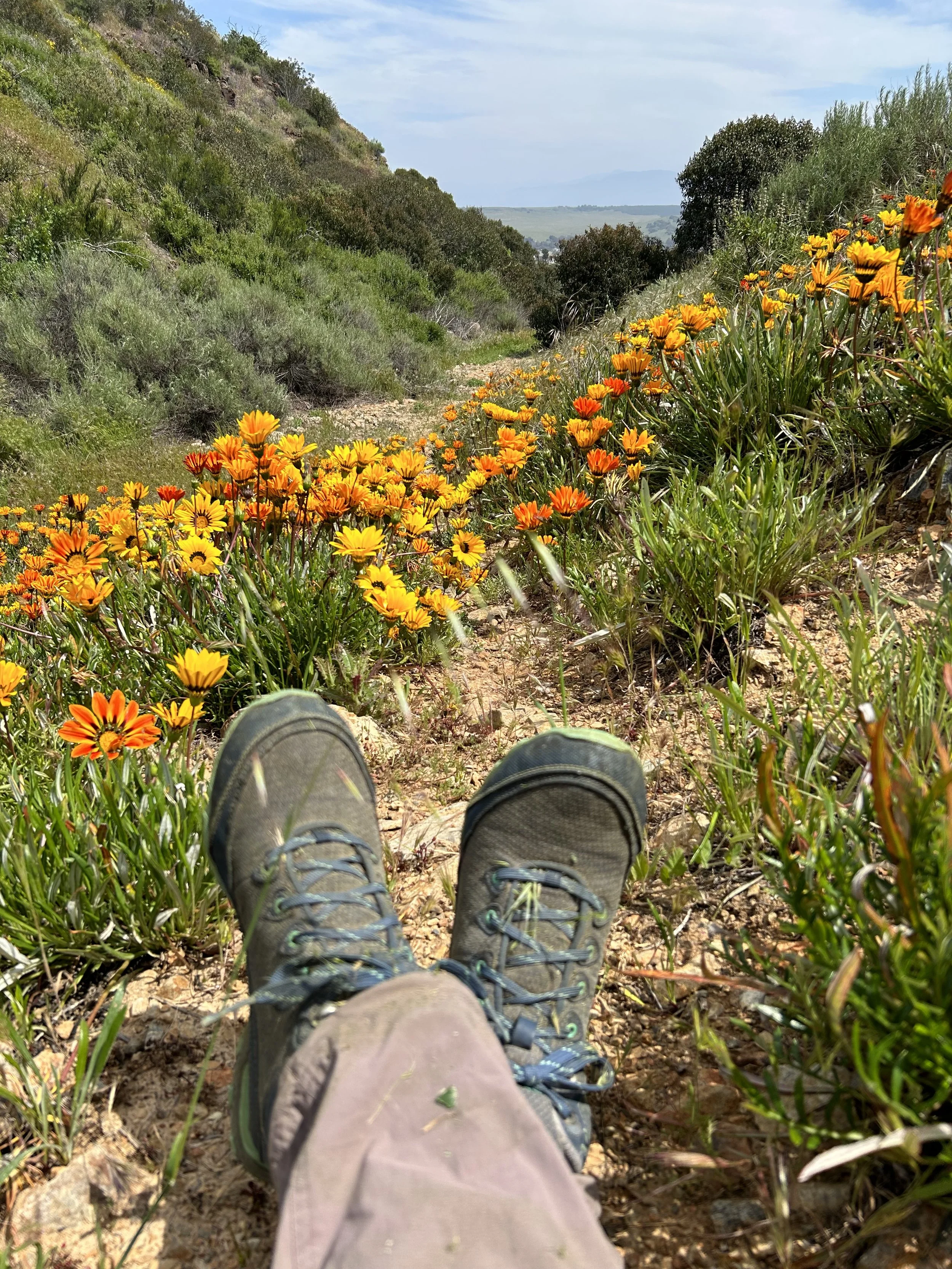 Outdoors_ Wildflowers.jpg