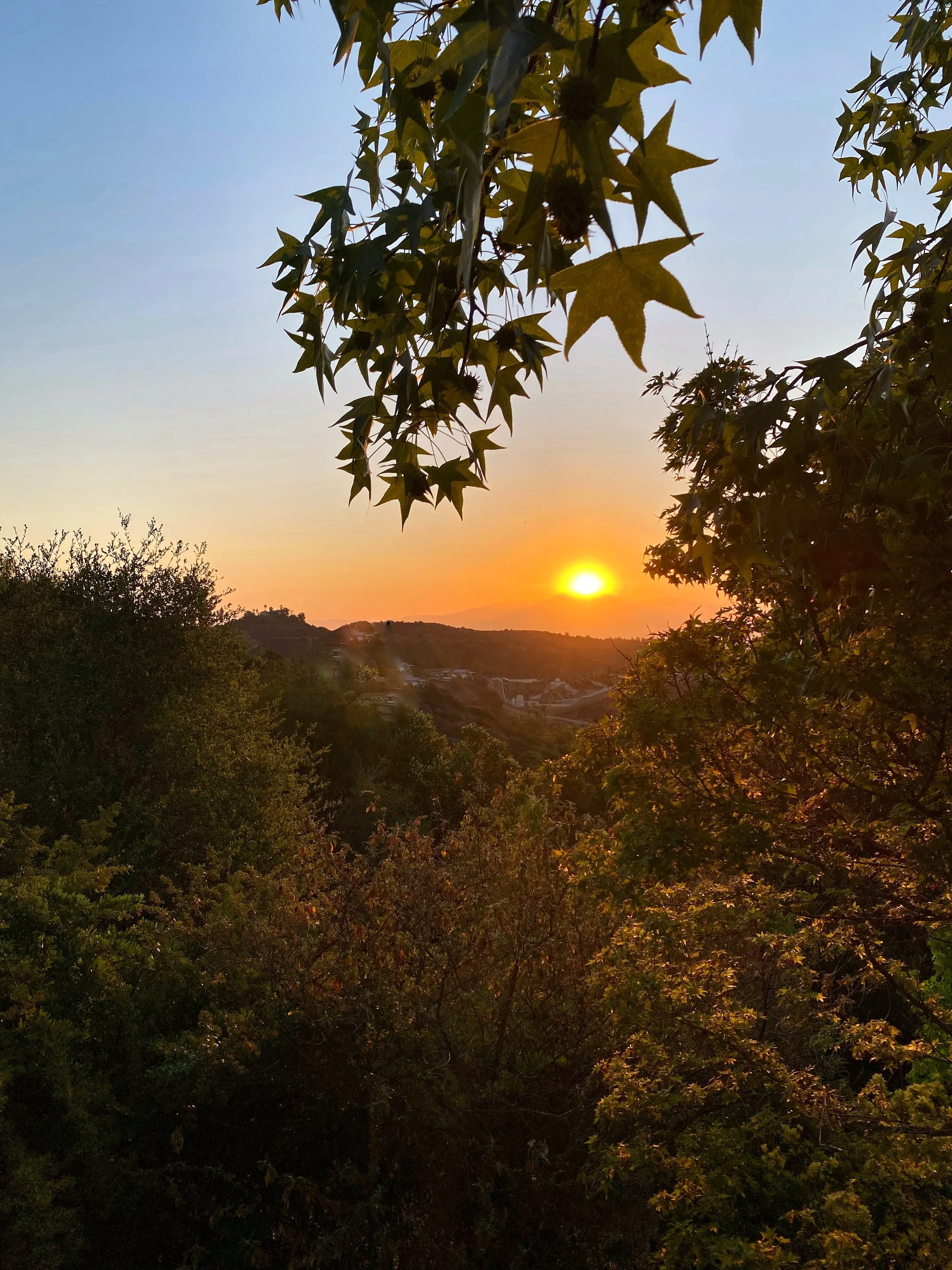 Outdoors_ Sunrise 2.jpg