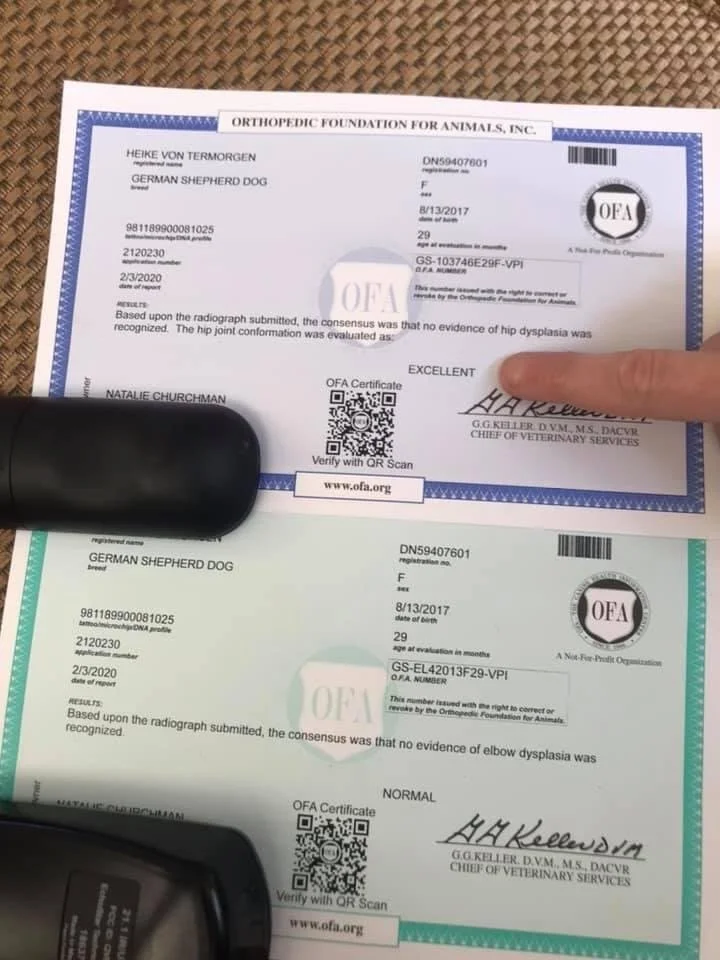 EXCELLENT OFA RESULTS!