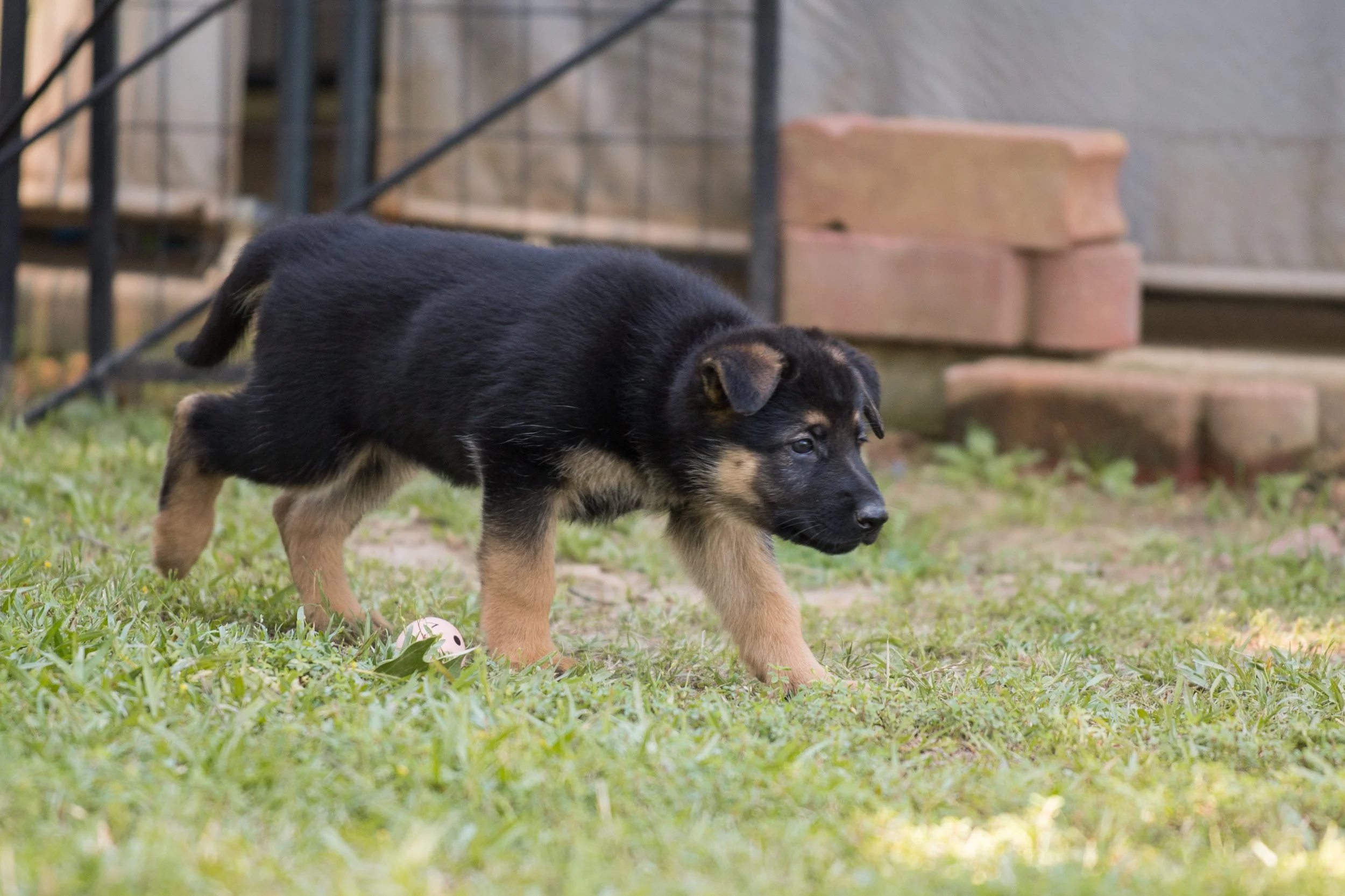 DSC_4062-2.jpg