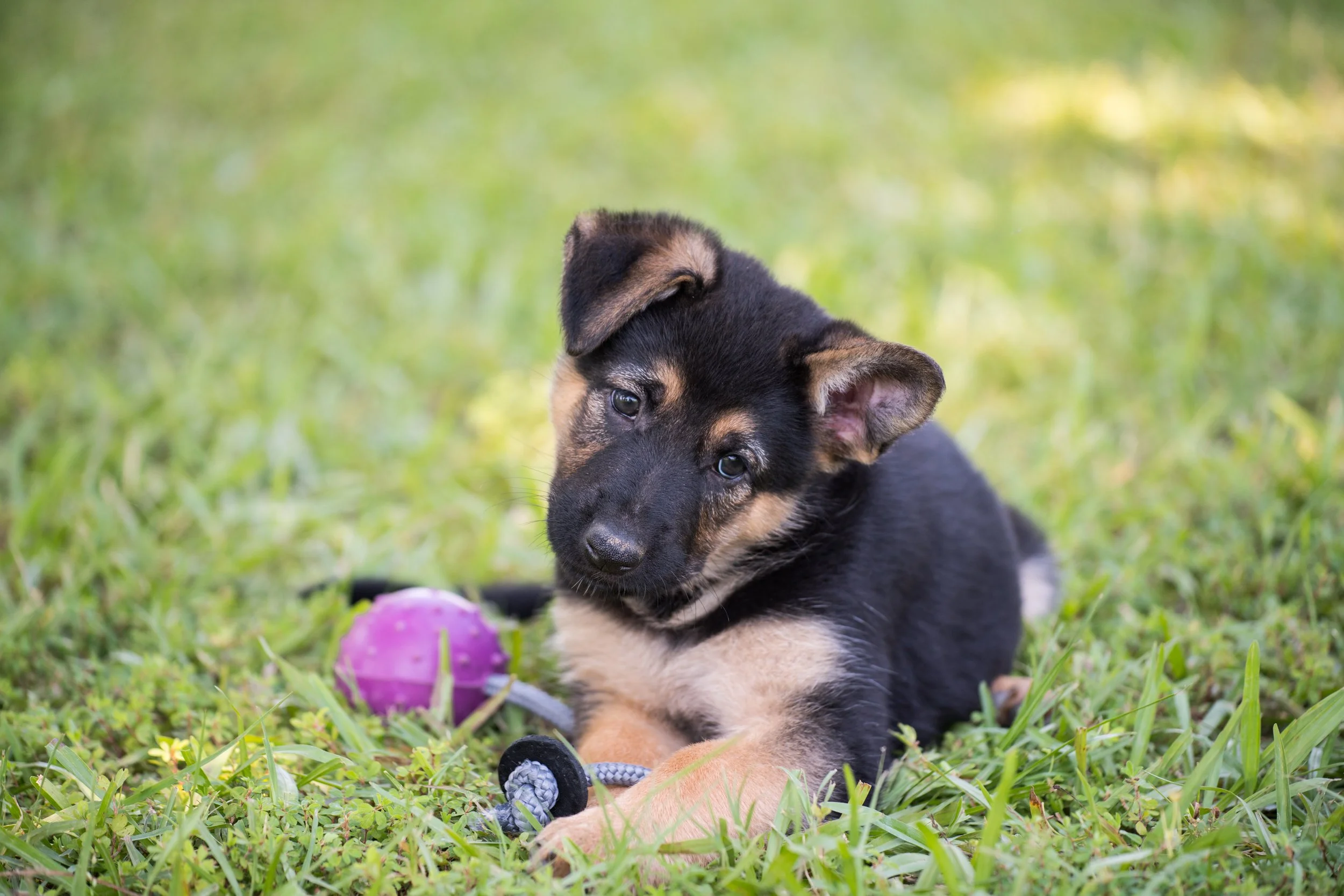 DSC_4103-2.jpg