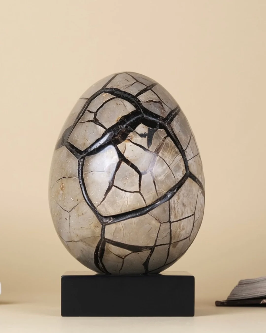 🅟🅣 Este belo ovo de sept&aacute;ria polido, proveniente de Madag&aacute;scar, &eacute; uma pe&ccedil;a One of a Kind, com uma abertura que revela a sua cristaliza&ccedil;&atilde;o interior, criando um contraste marcante com as cores do exterior.

?