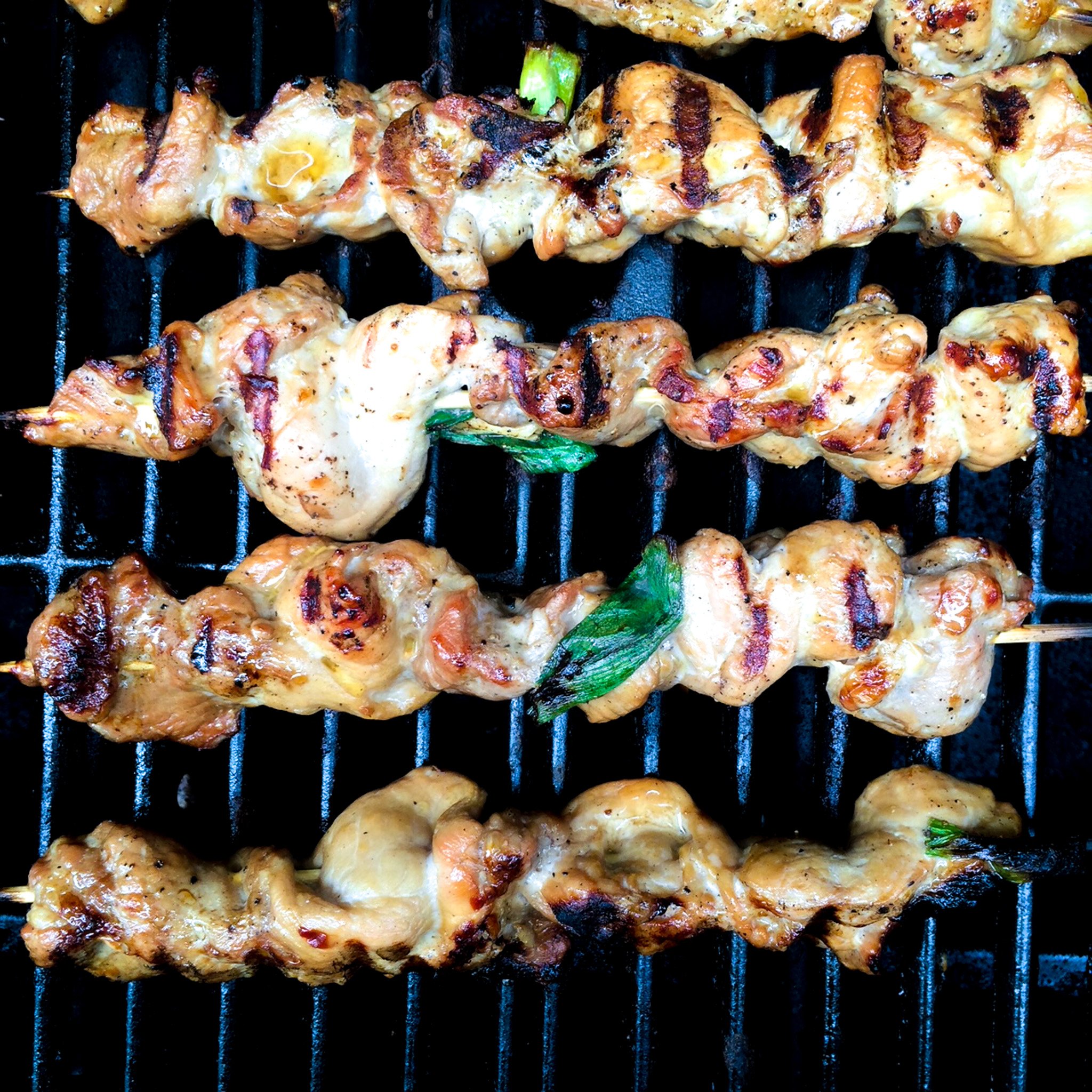 Pork Chimichurri 3EDITED.jpg