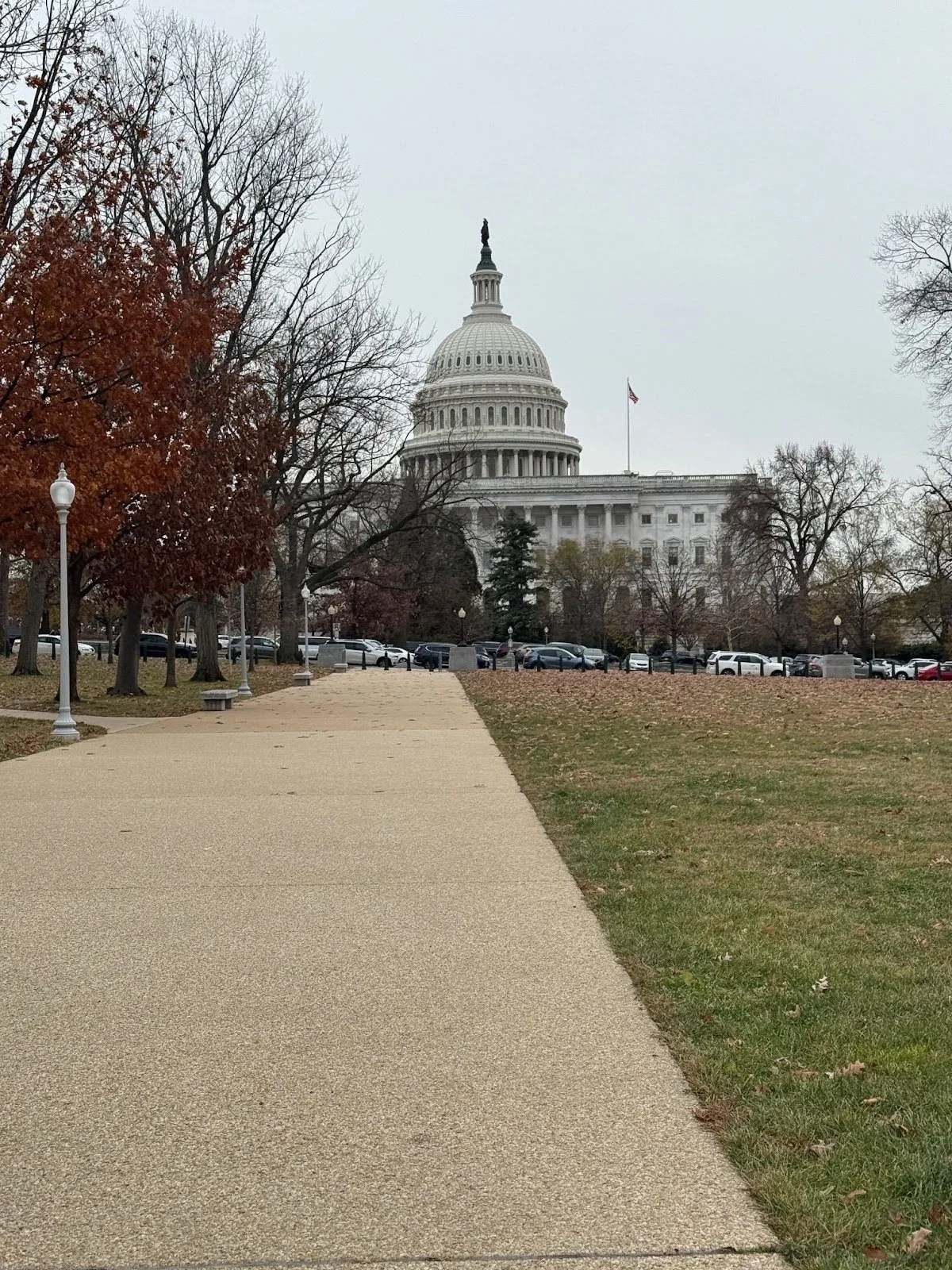 Capitol Building.jpg