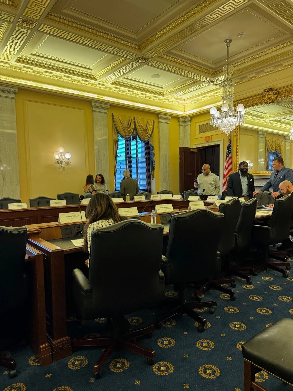 Committe chamber.jpg