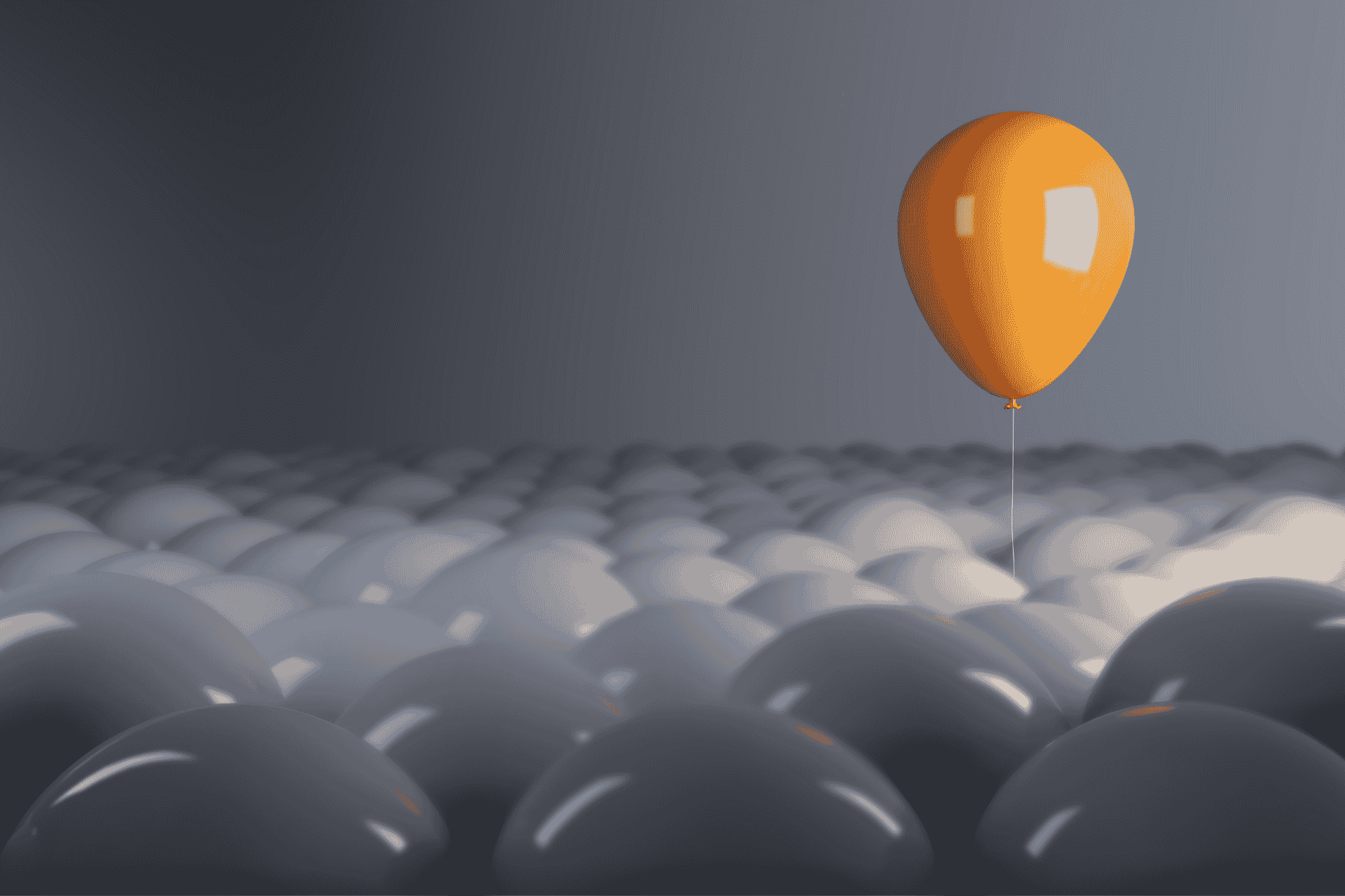 Leveled out white balloons with an orange balloon rising to the top above the rest showing that Pardinus stands out as SEO experts in the crowd.