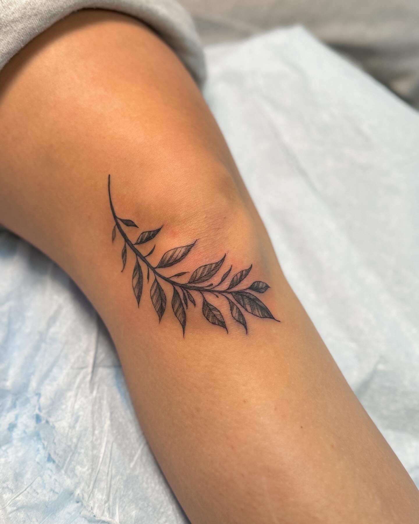 🌿Knee coverup/redo for my bb cuz 🌿 (original piece not done by me) I hand drew this baddie then we got to it, but because we did as cousins do, we talked the whole time and I forgot to take progress photos.. sooo swipe for an upside down before pic