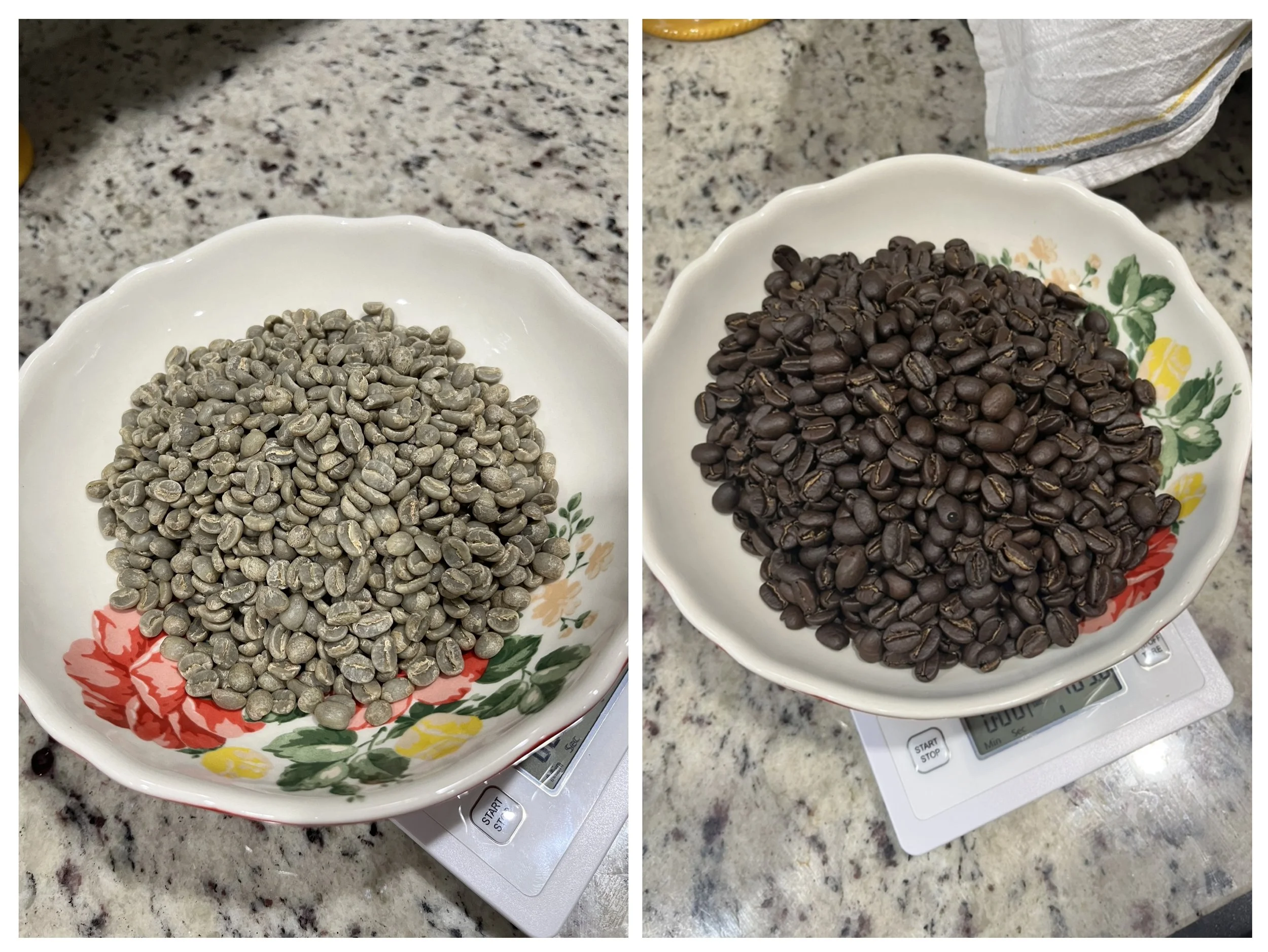 C72CF799-BCC5-4F04-B812-3C605ADFB39B-COLLAGE.jpg