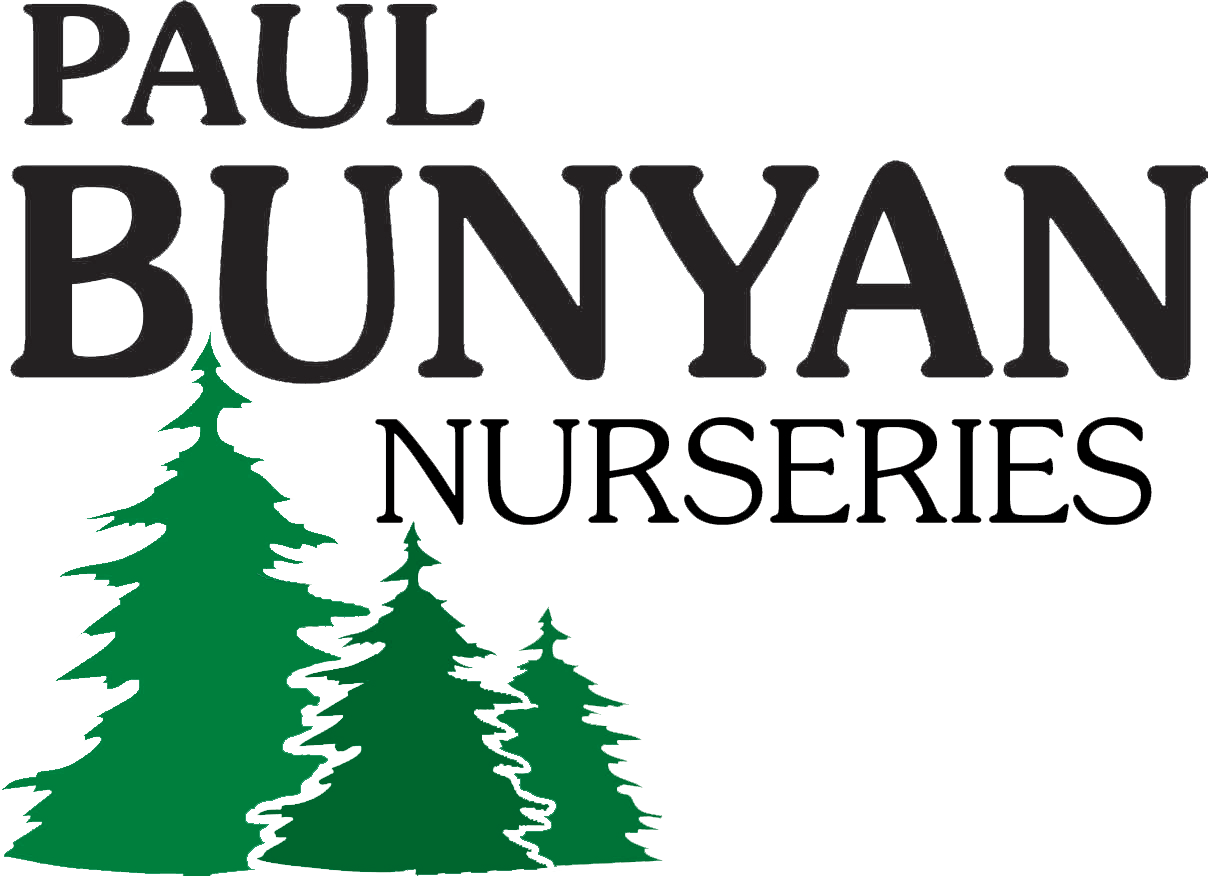 Paul Bunyan Nursery