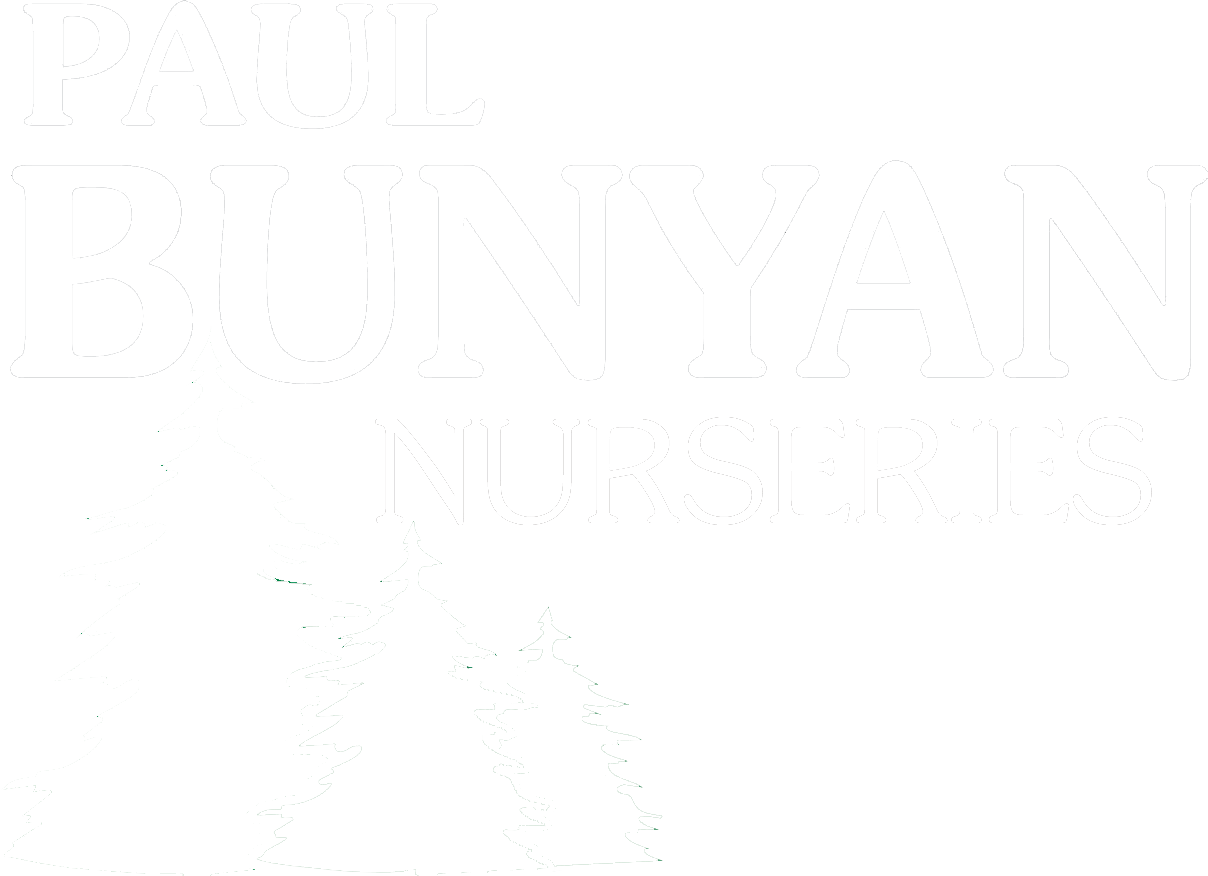 Paul Bunyan Nurseries | Tree Health Experts & Nursery Stock | North ...
