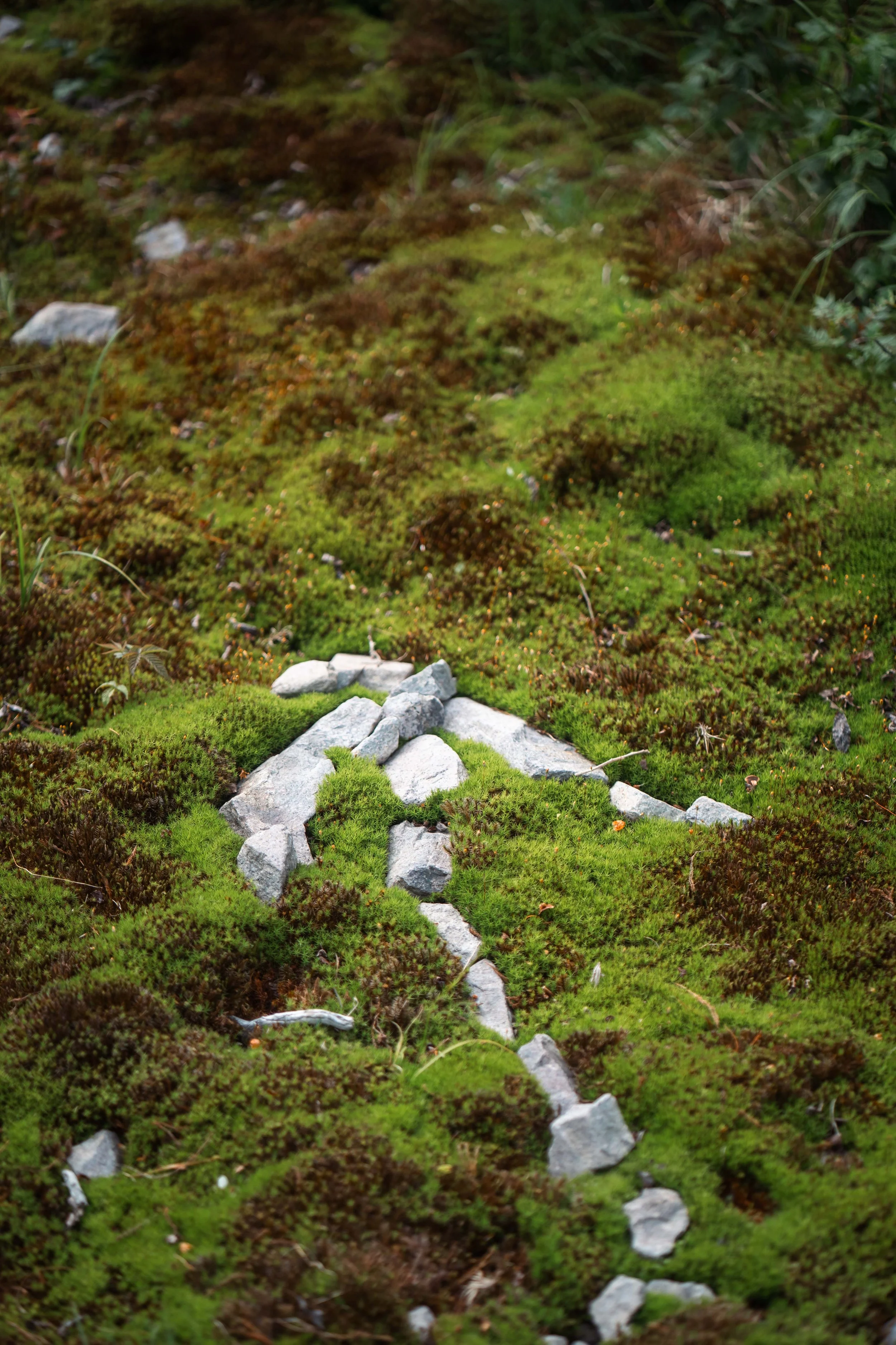 GraysonHighlands_75.jpg