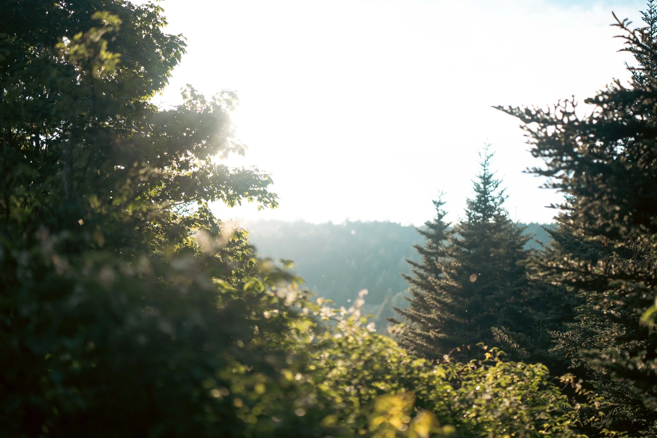GraysonHighlands_65.jpg