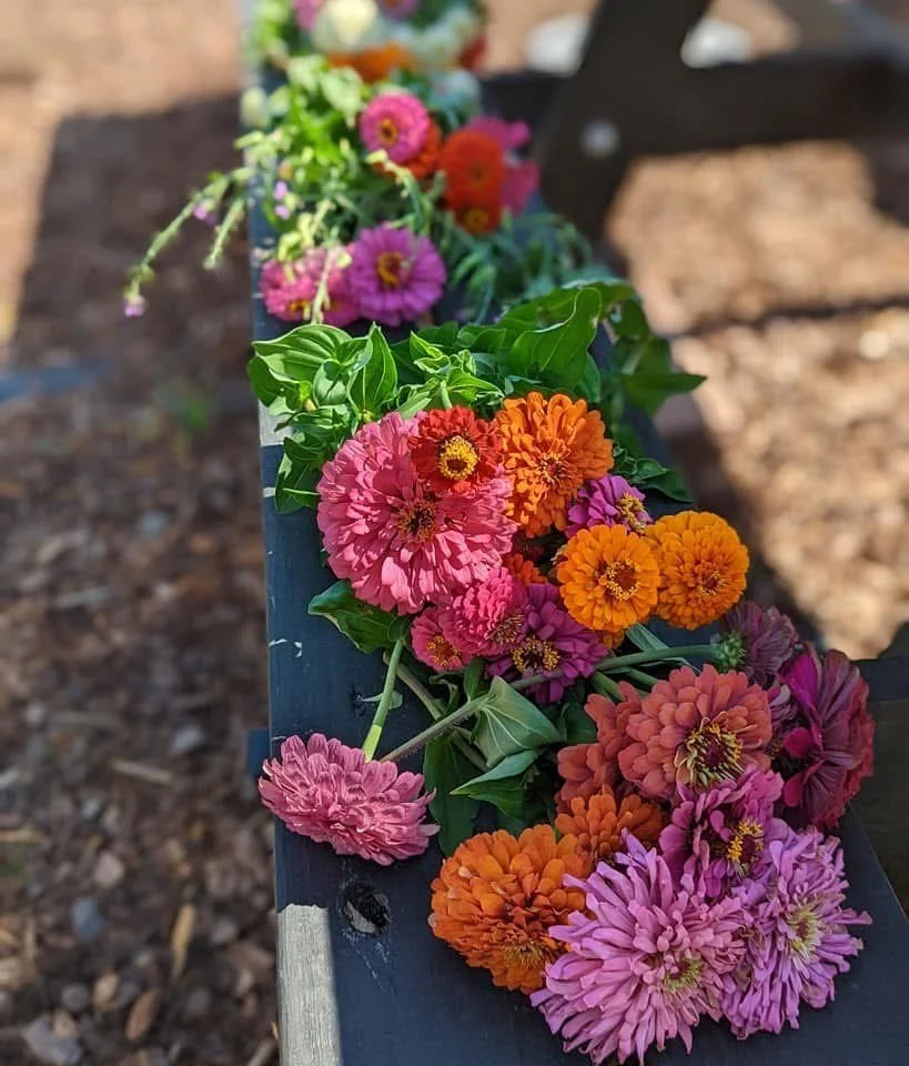 Flowers laid out.jpeg