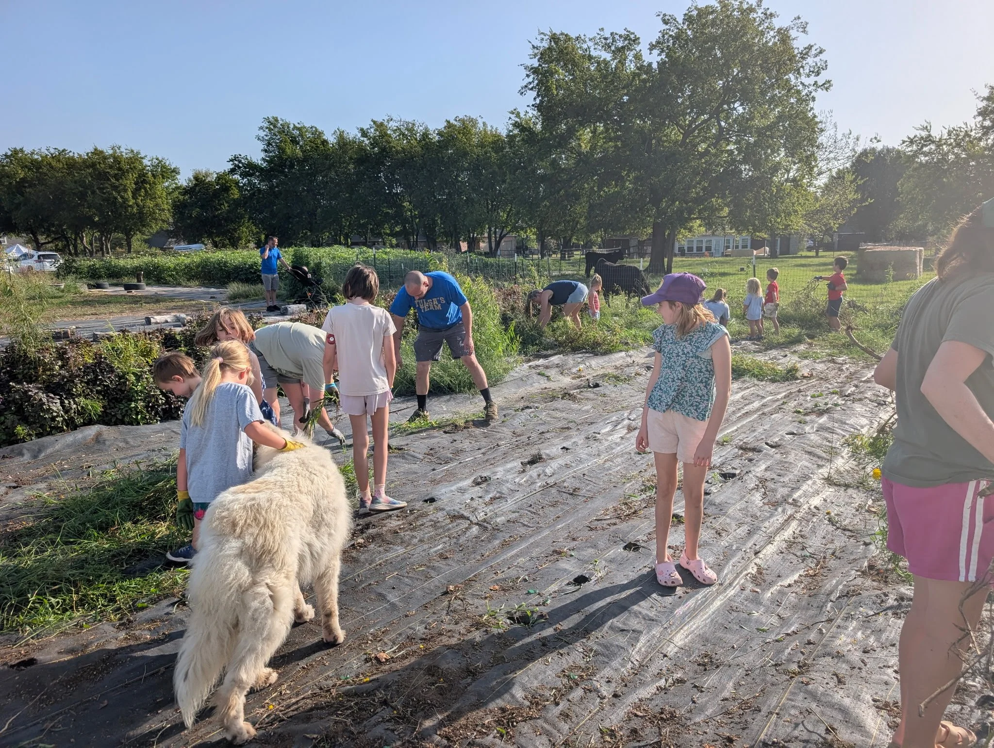 Volunteer Work Day