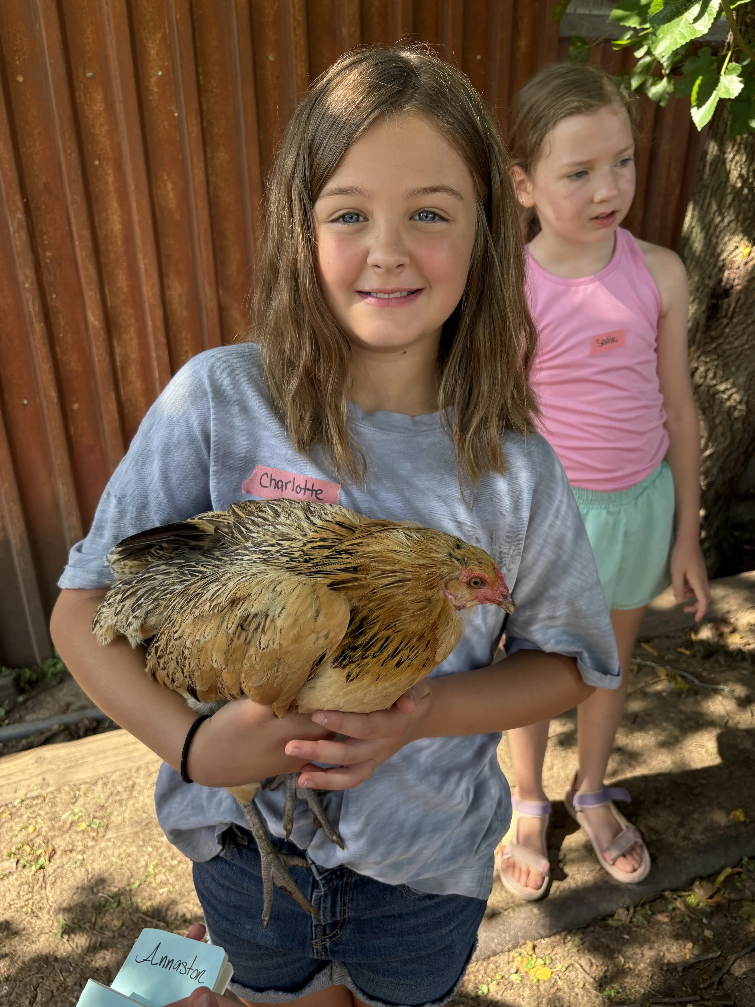 Kids Farm Camp Scholarship