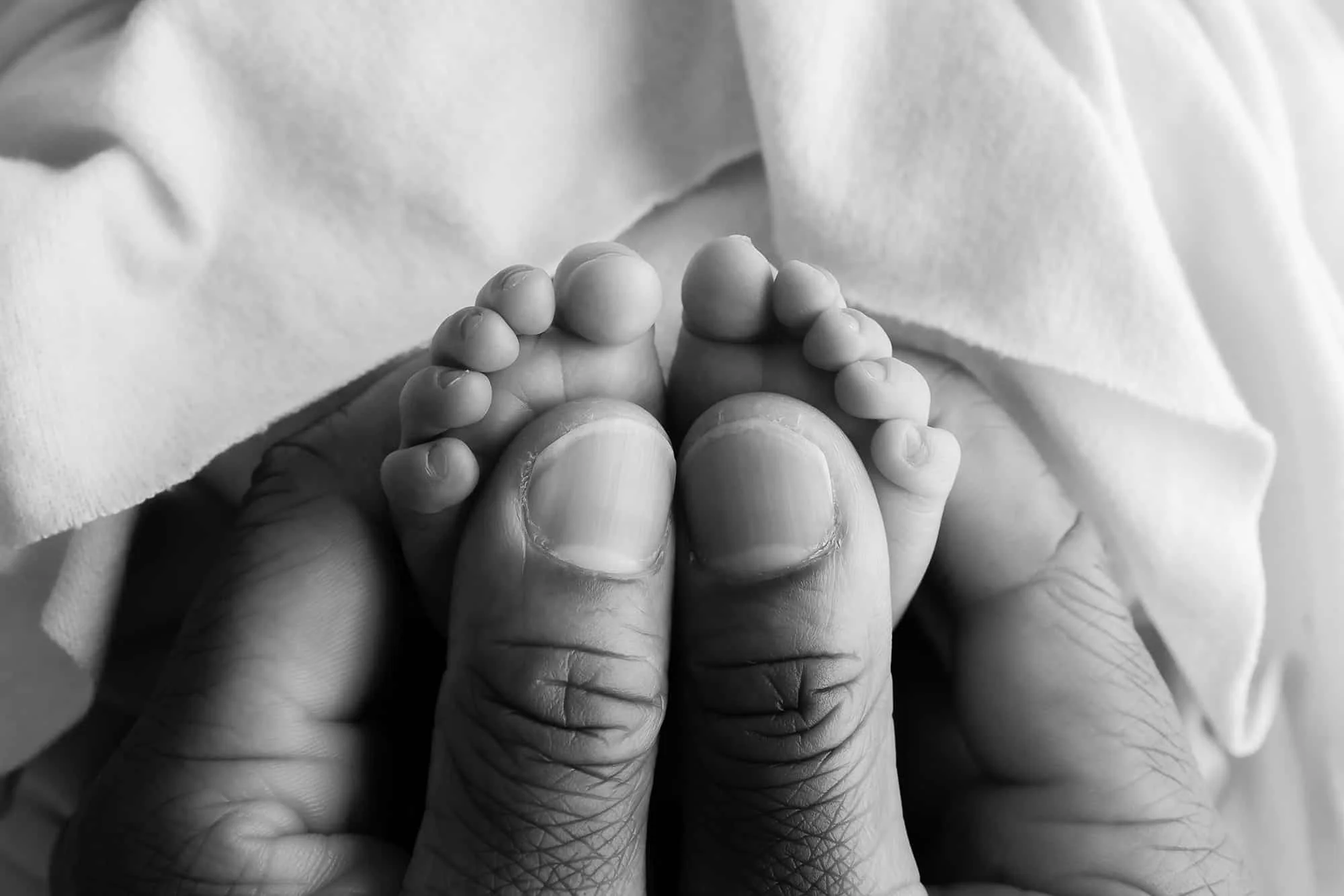 A black and white close-up of a newbo