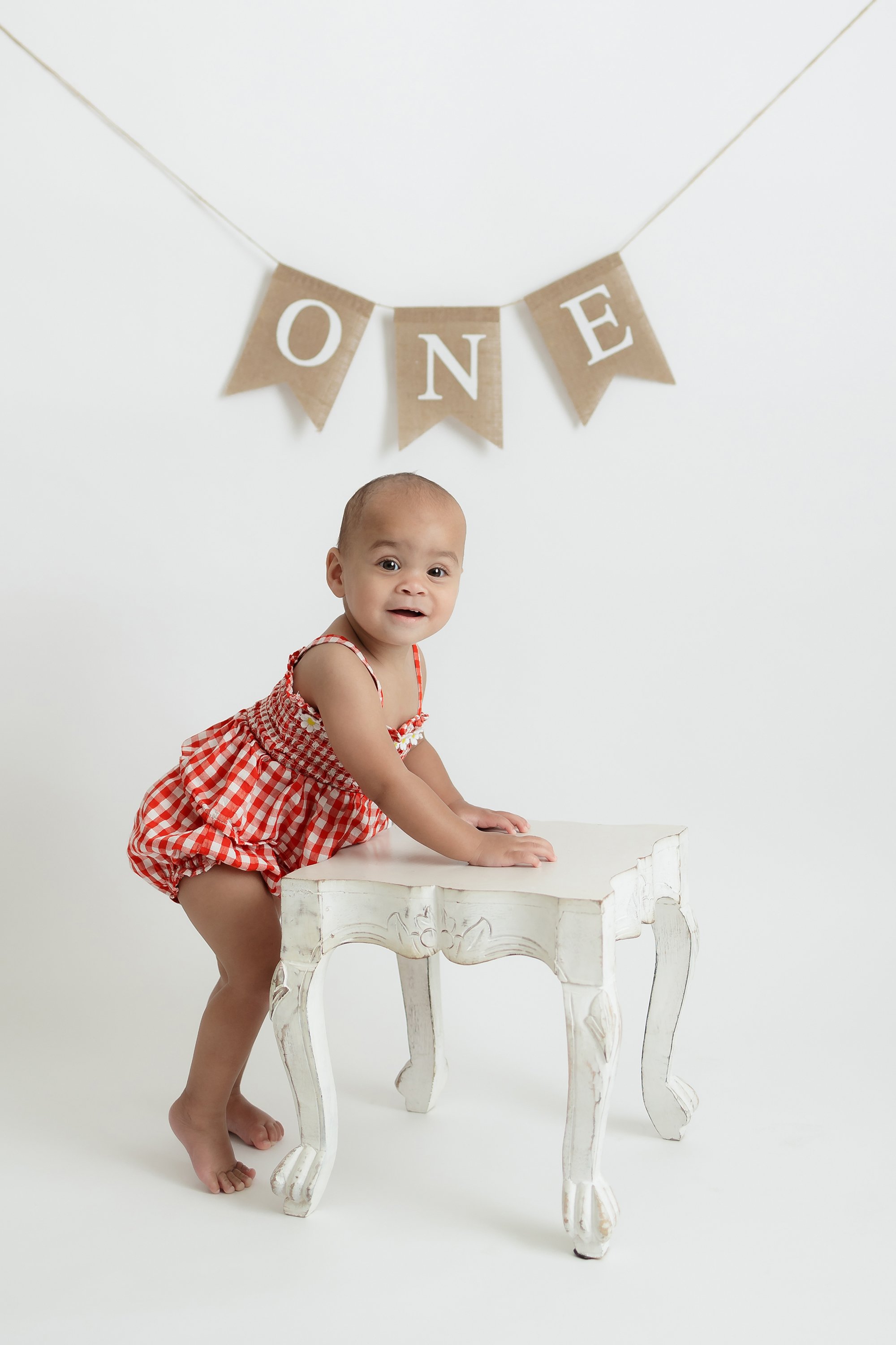 one year milestone session in northern Virginia photography studio