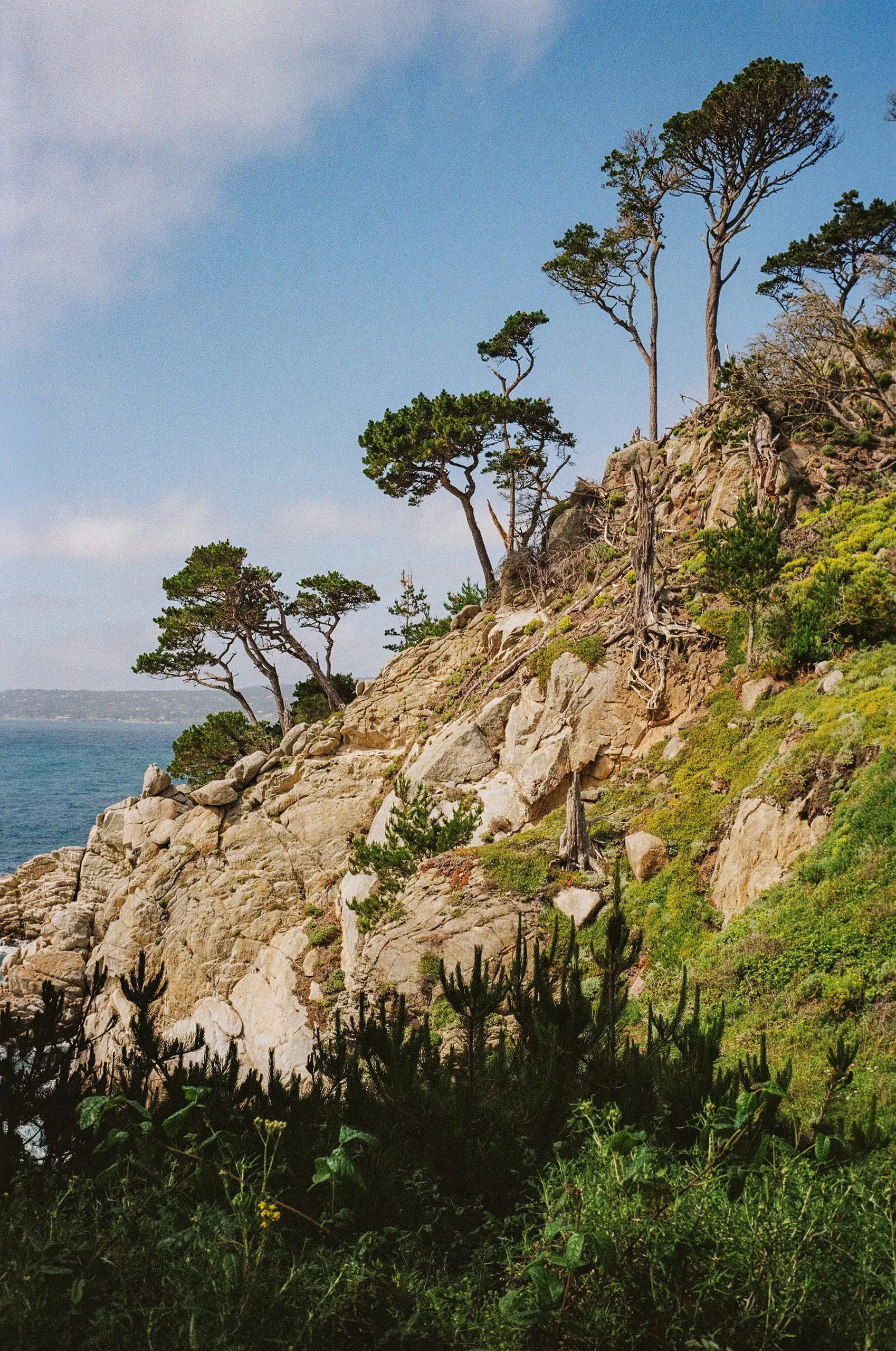 004194330031_Edit_PRINT.jpg