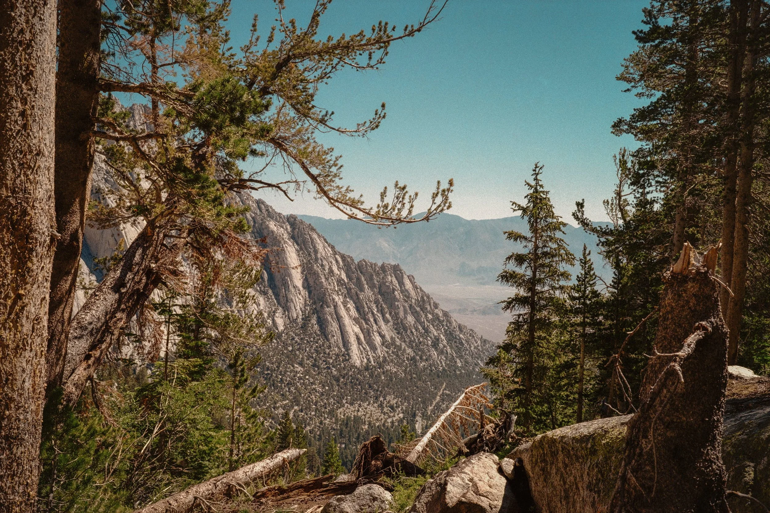 0049_BenDeter_Kodacolor20014_Edit-02_PRINT.jpg