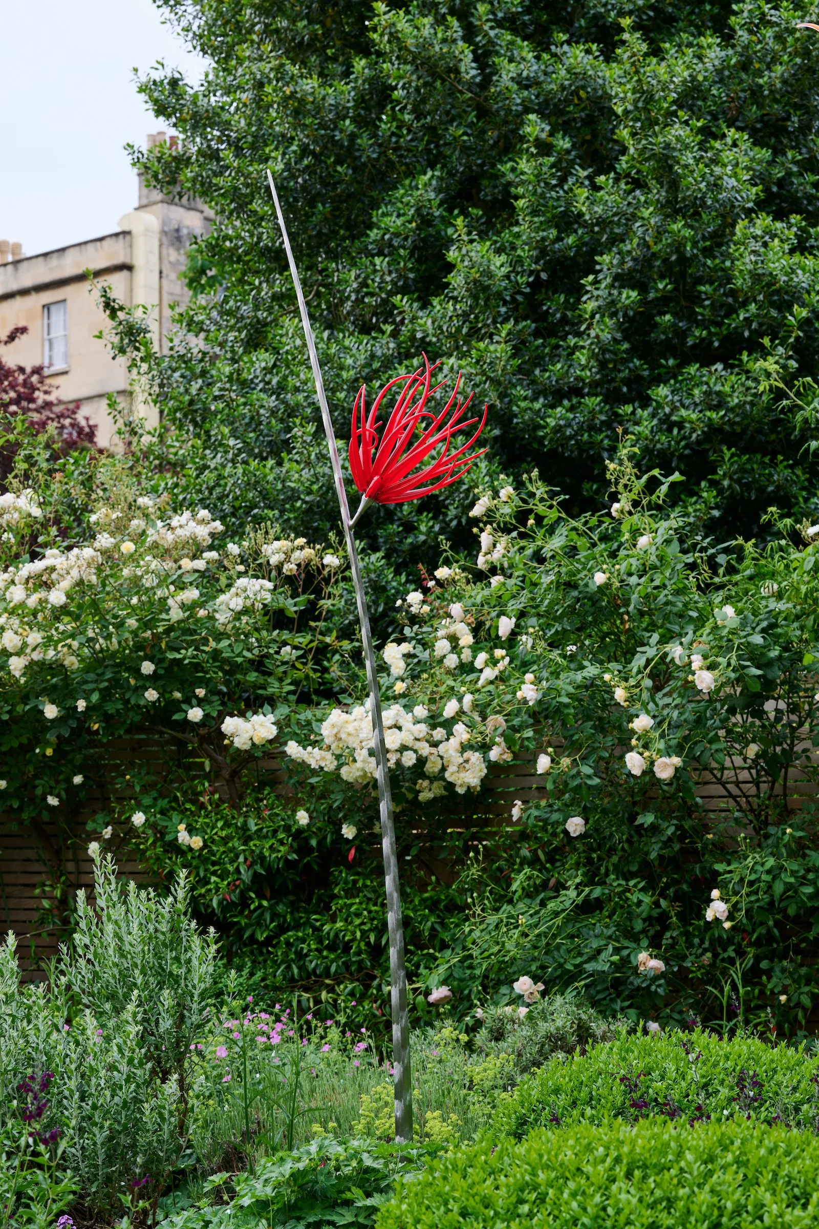 Neil Wilkin, Tall Red Flower