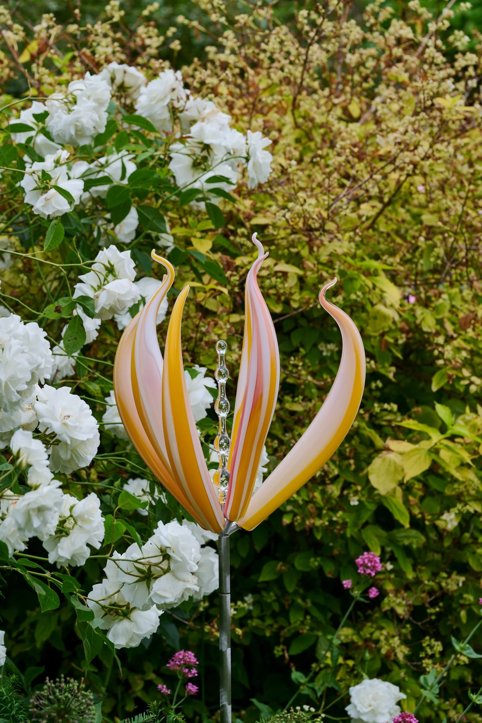 Neil Wilkin, Colour Catcher Tulip - Yellow & White