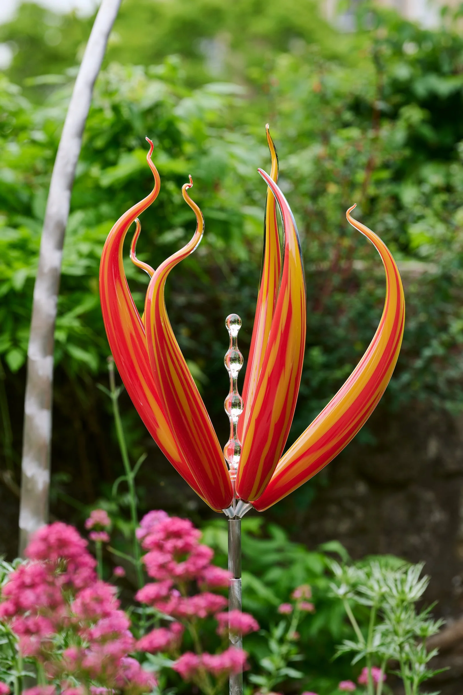 Neil Wilkin  Colour Catcher Tulip - Yellow & Orange